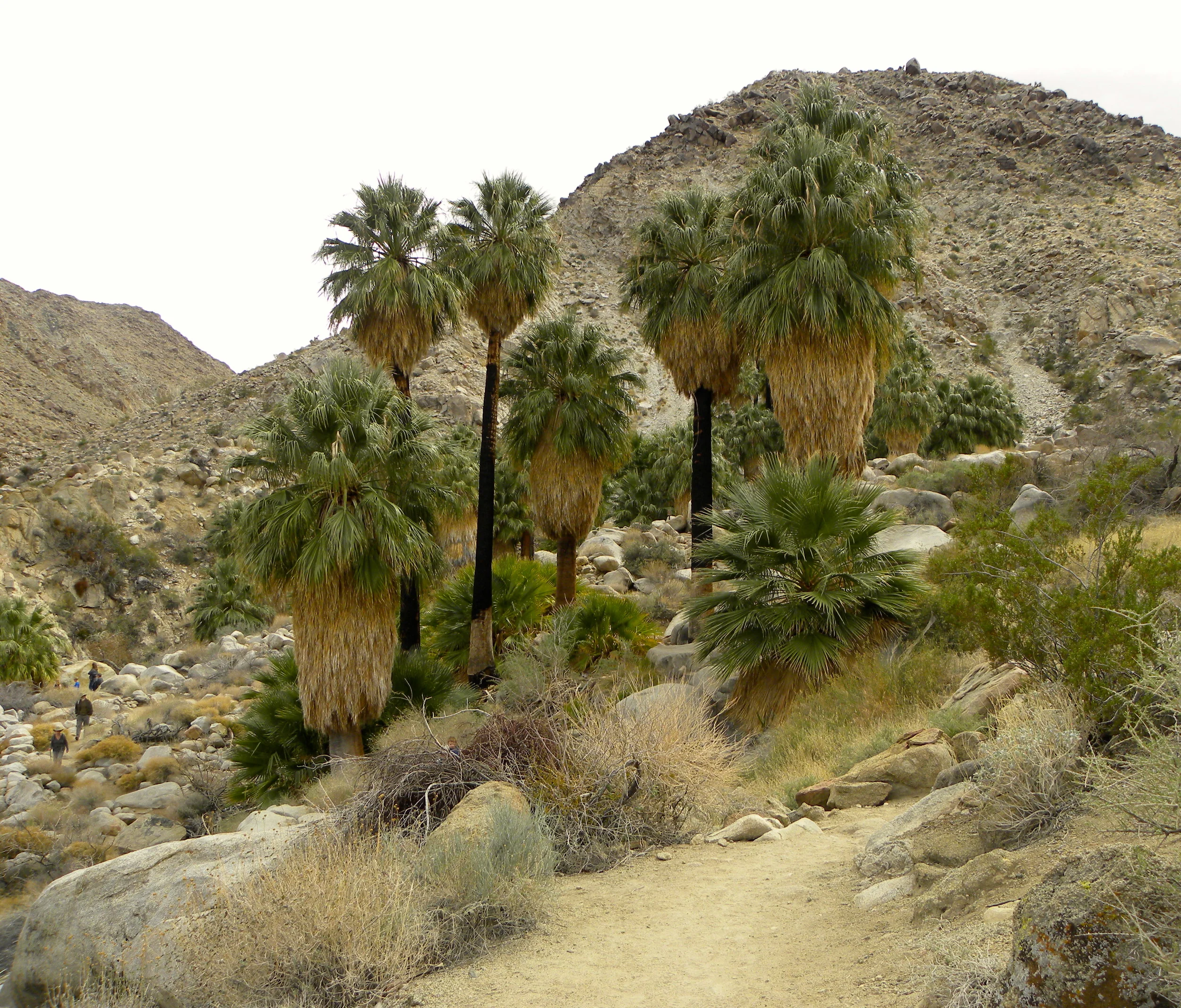 DSCN2032XXSMx 22.JPG