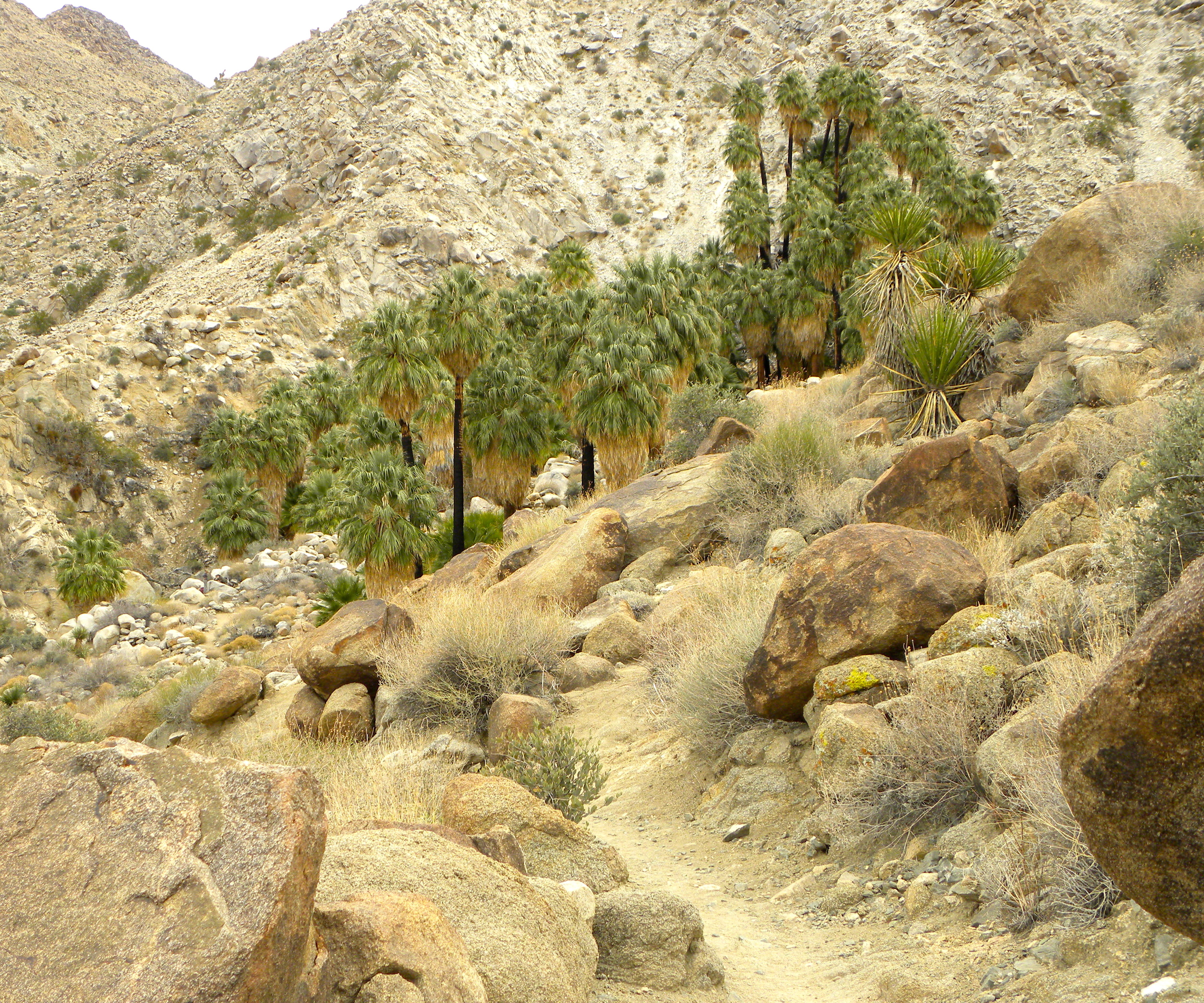 DSCN2032XXSMx 21.JPG