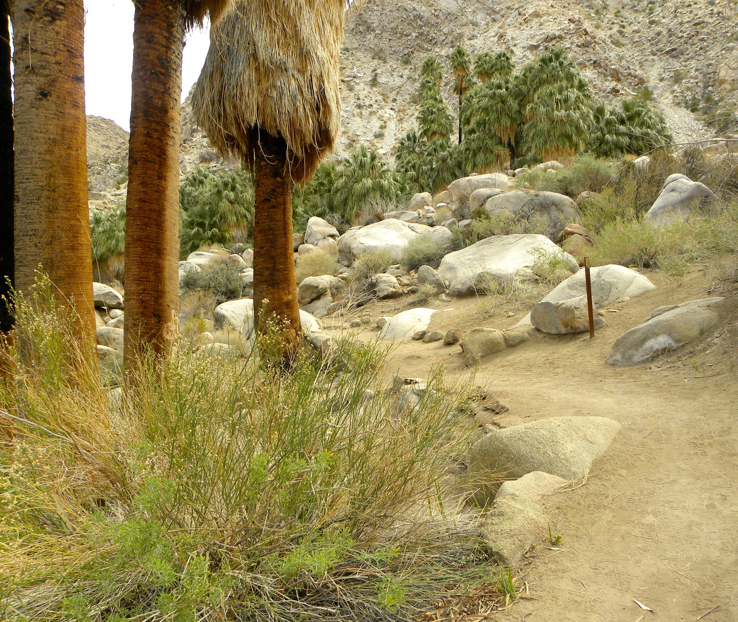 DSCN2032XXSMx 24.JPG