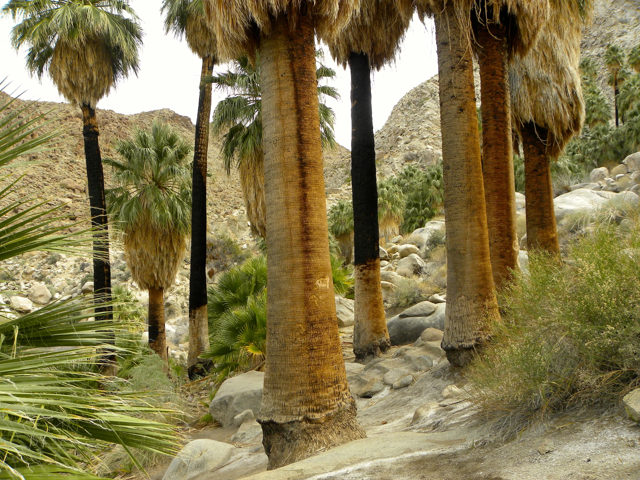 DSCN2032XXSMx 23.JPG