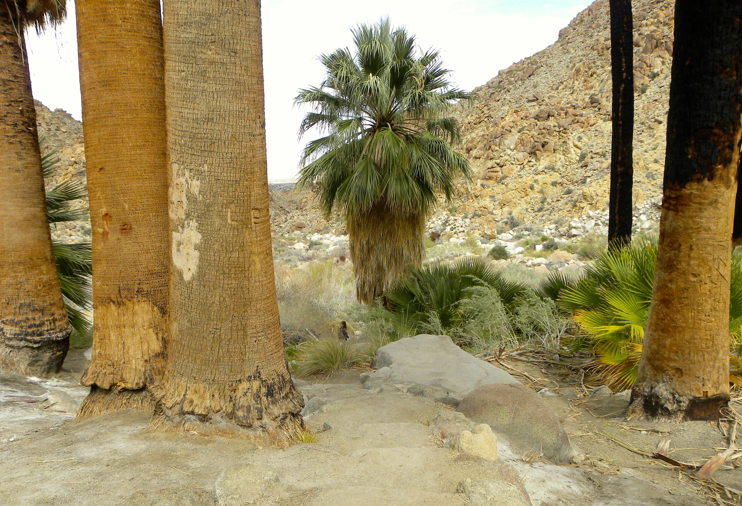 DSCN2032XXSMx 26.JPG