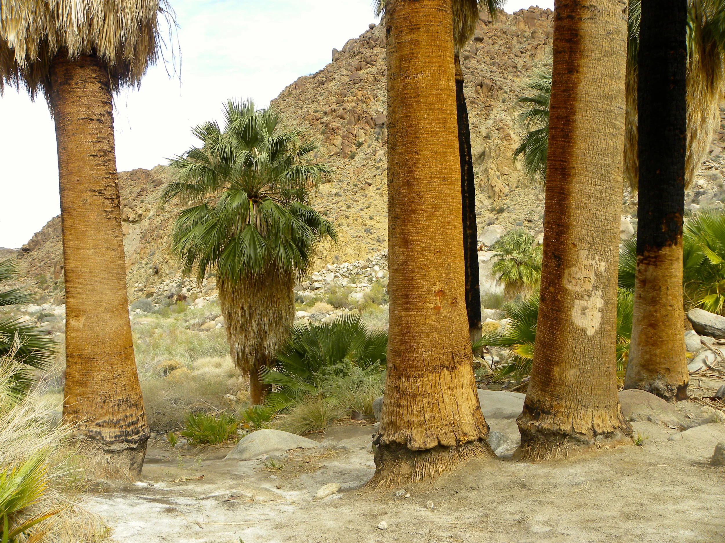 DSCN2032XXSMx 25.JPG