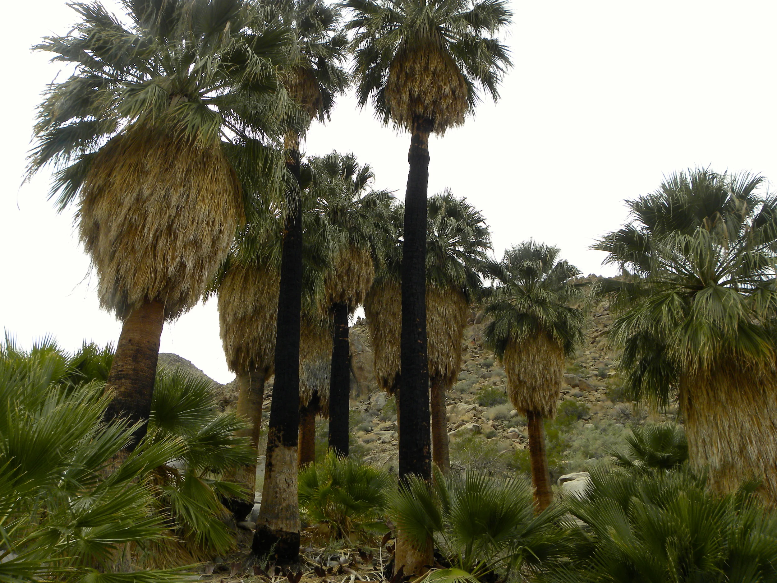 DSCN2032XXSMx 28.JPG