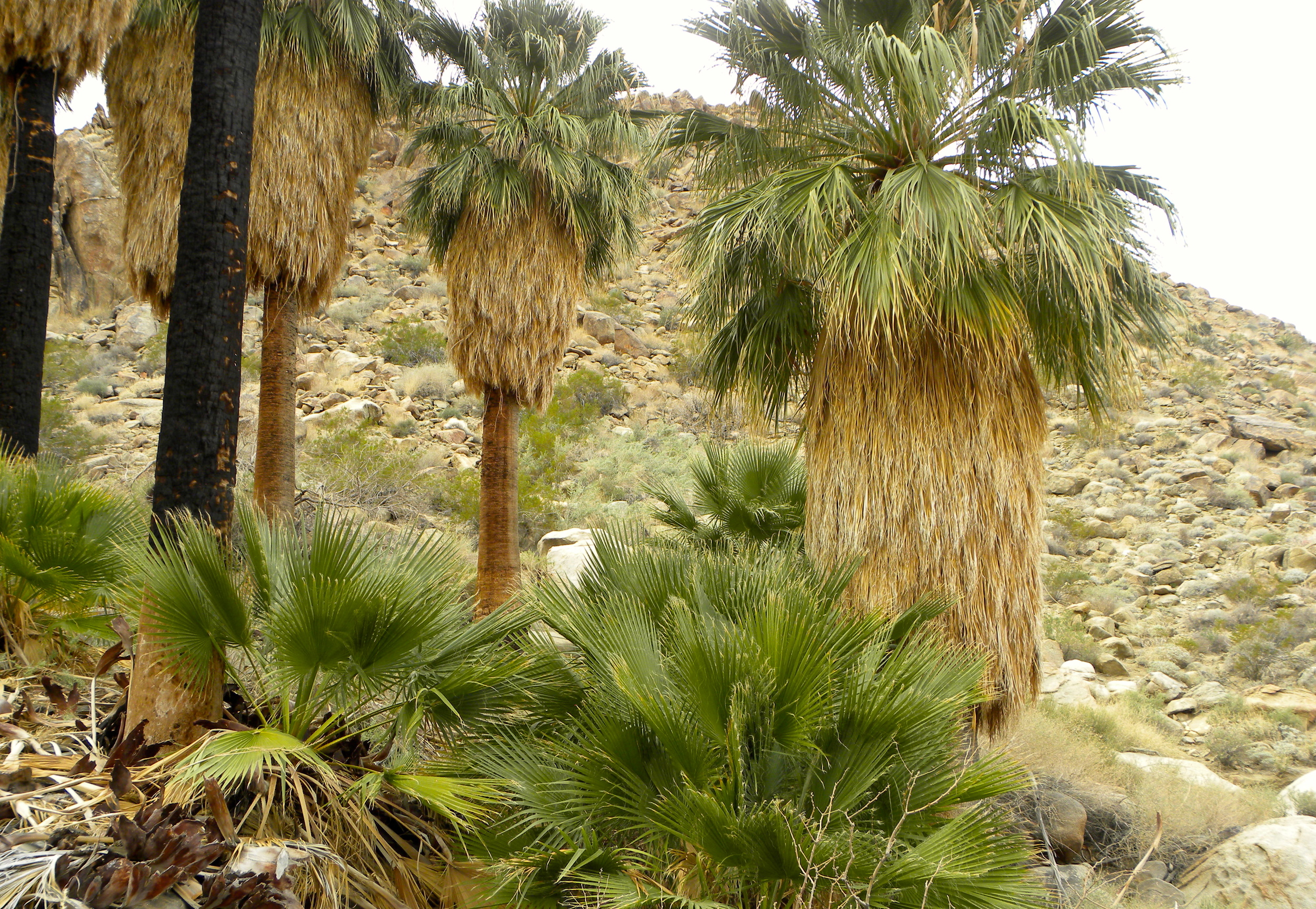 DSCN2032XXSMx 29.JPG