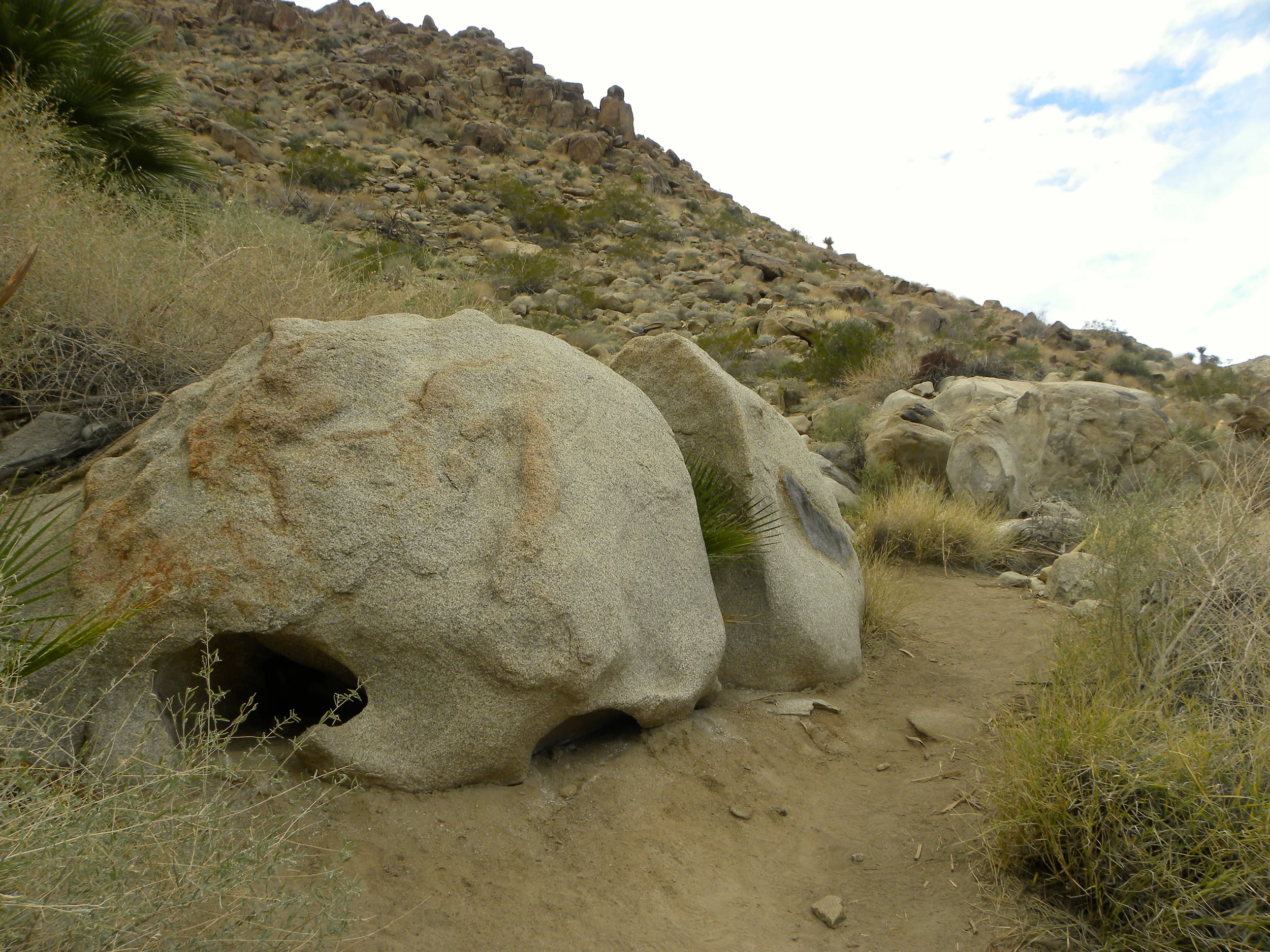 DSCN2032XXSMx 30.JPG