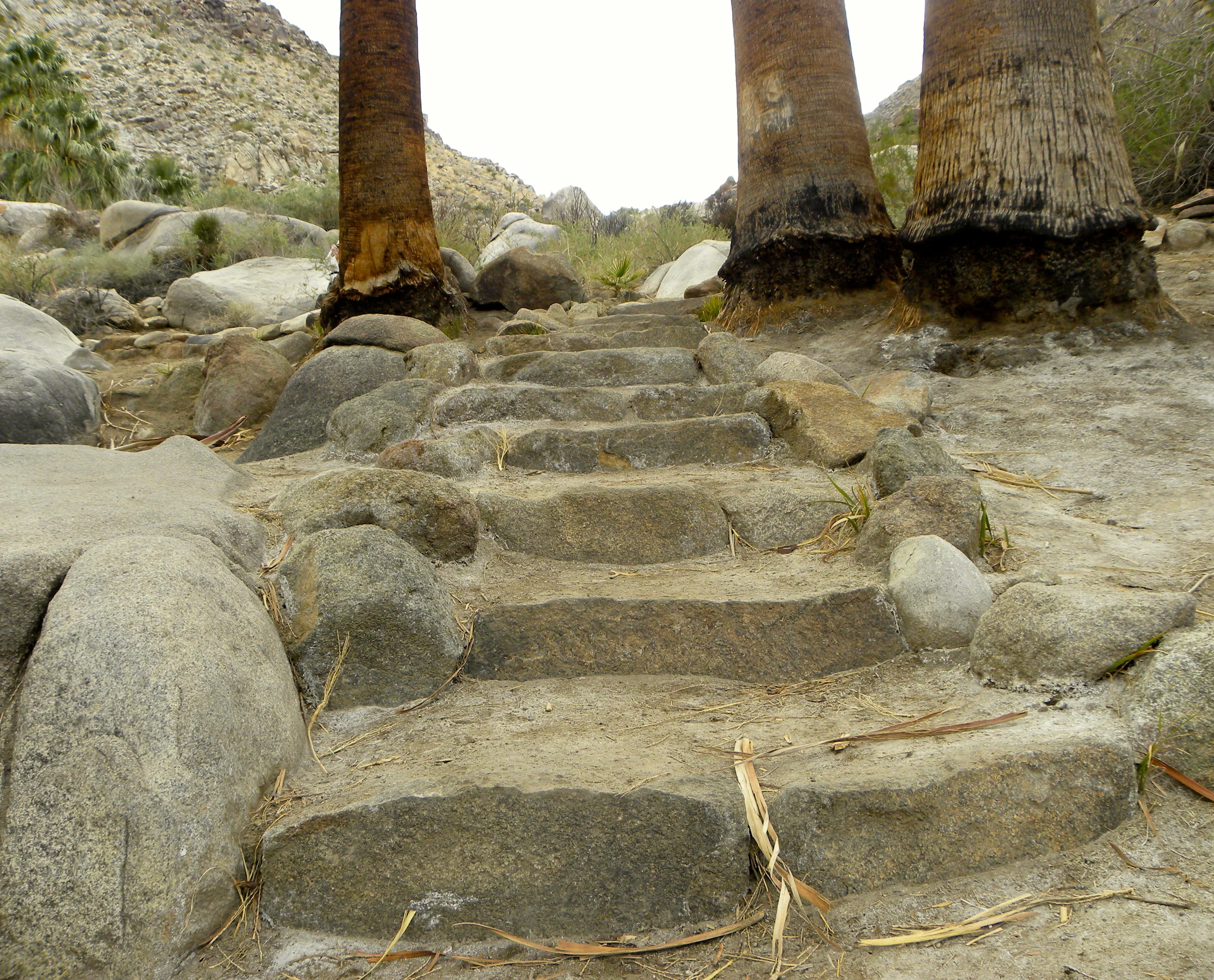 DSCN2032XXSMx 31.JPG