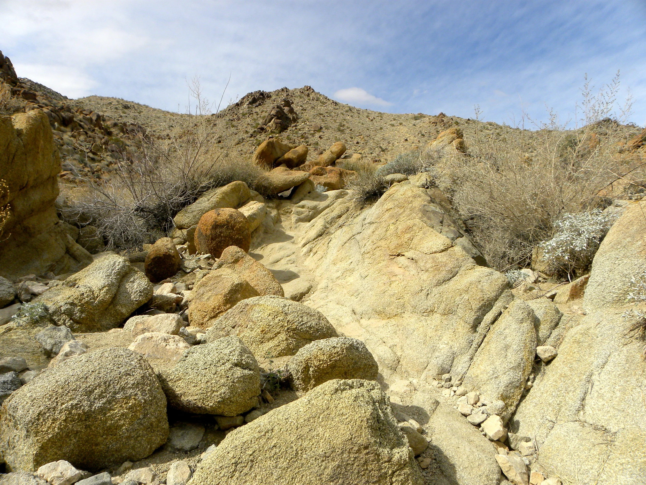 DSCN2032XXSMx 36.JPG