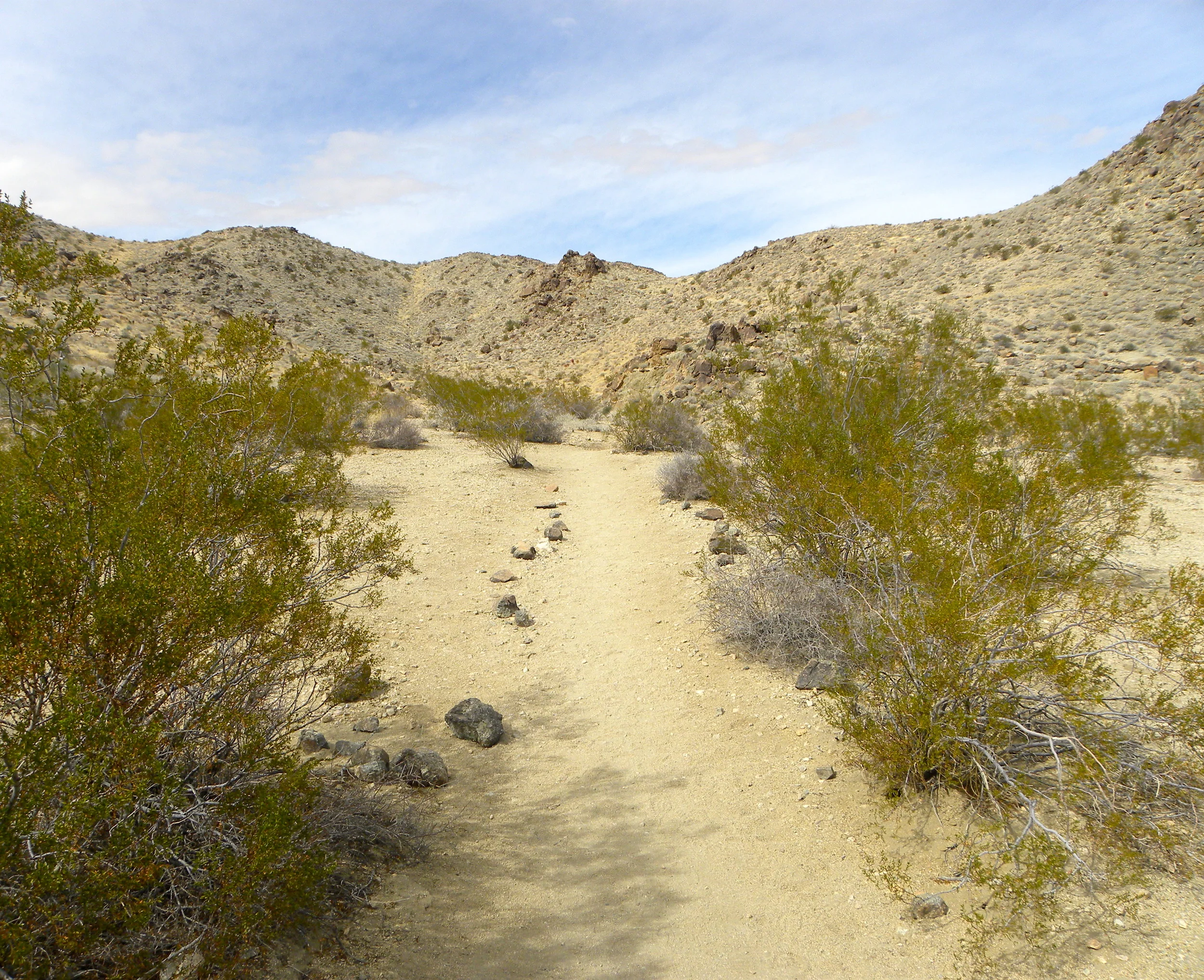 DSCN2032XXSMx 37.JPG