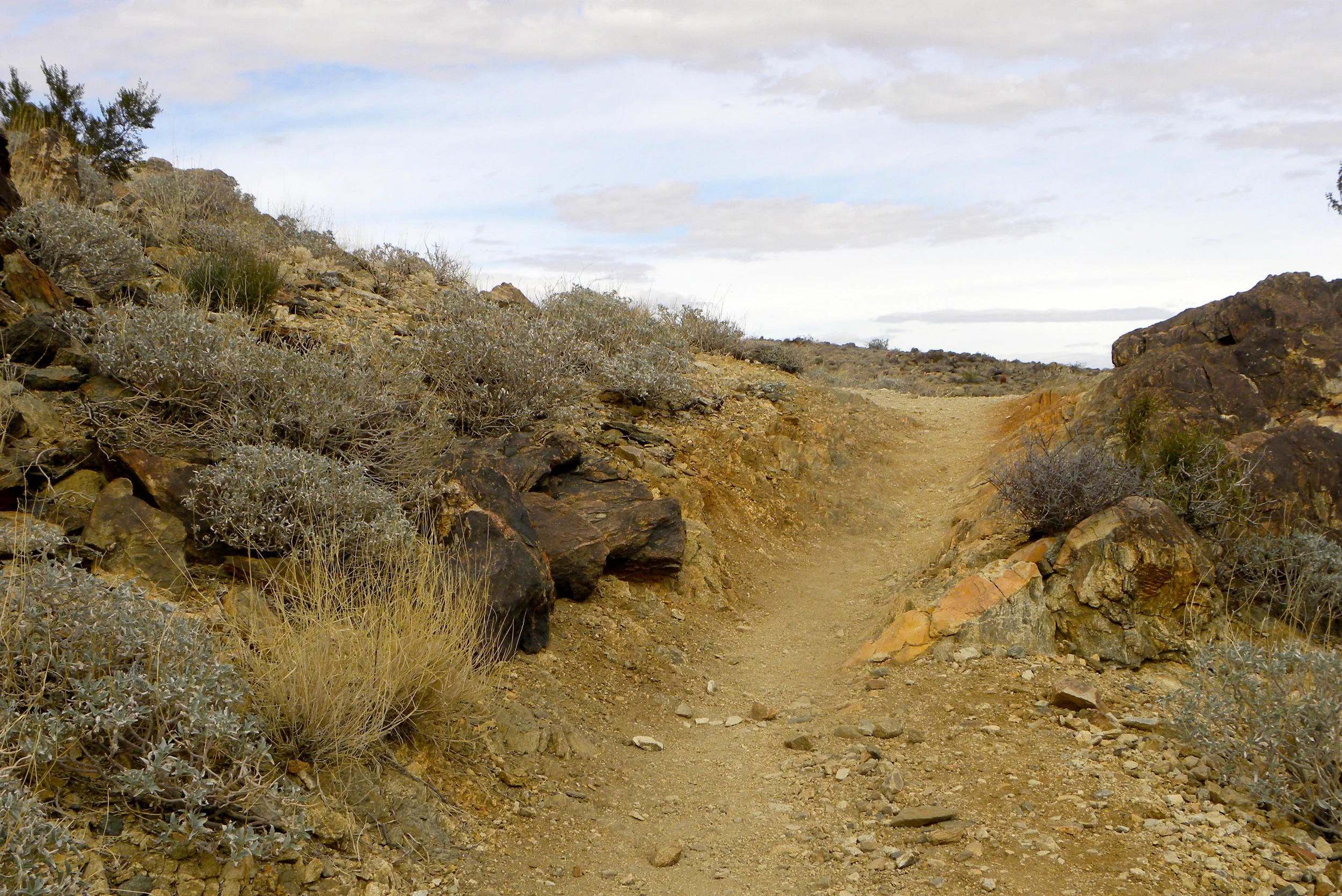 DSCN2032XXSMx 38.JPG