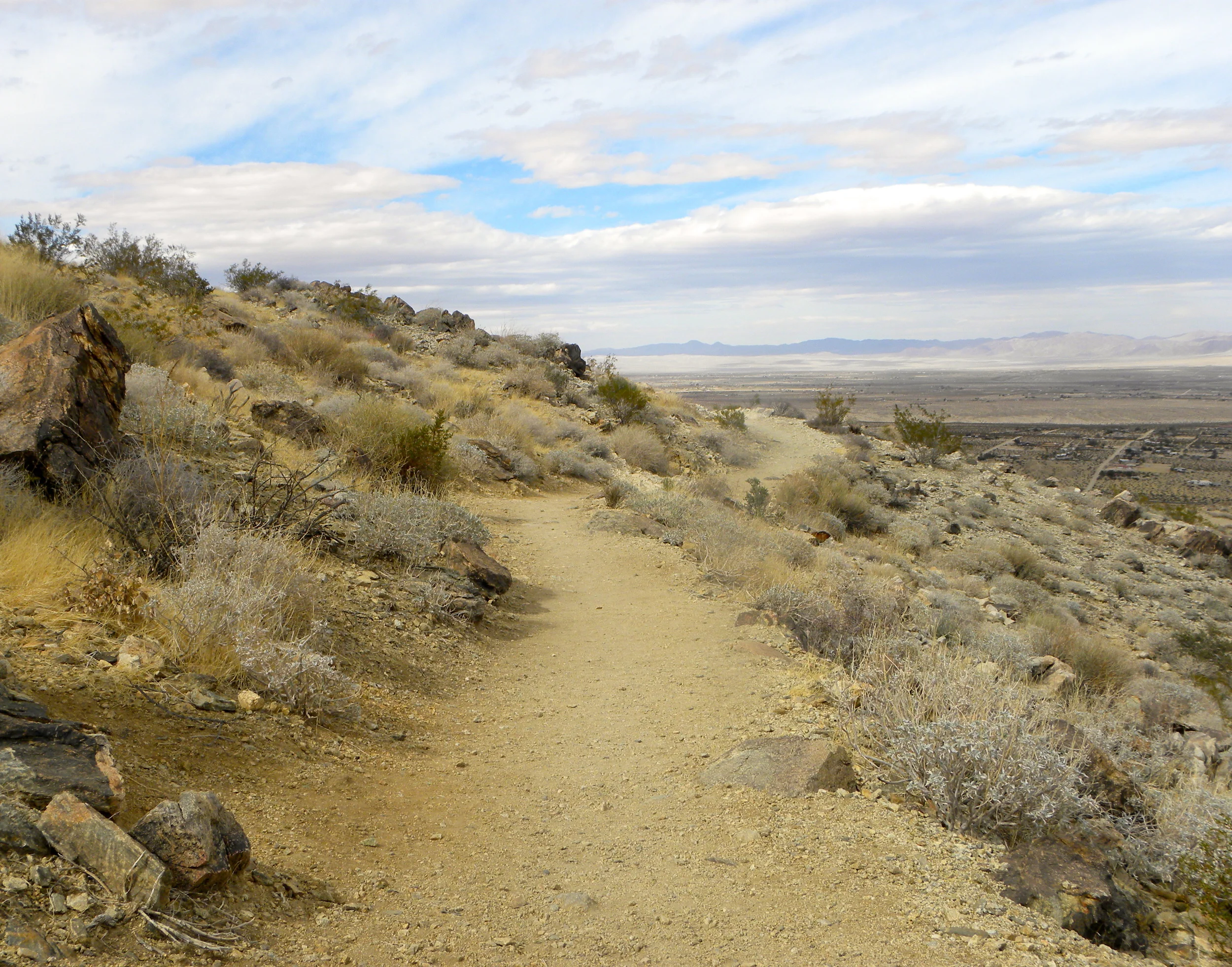 DSCN2032XXSMx 40.JPG