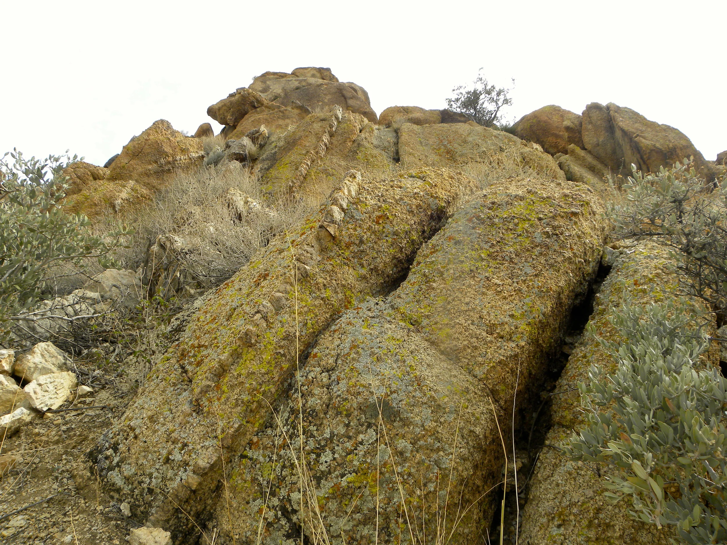 DSCN2032XXSMx 44.JPG