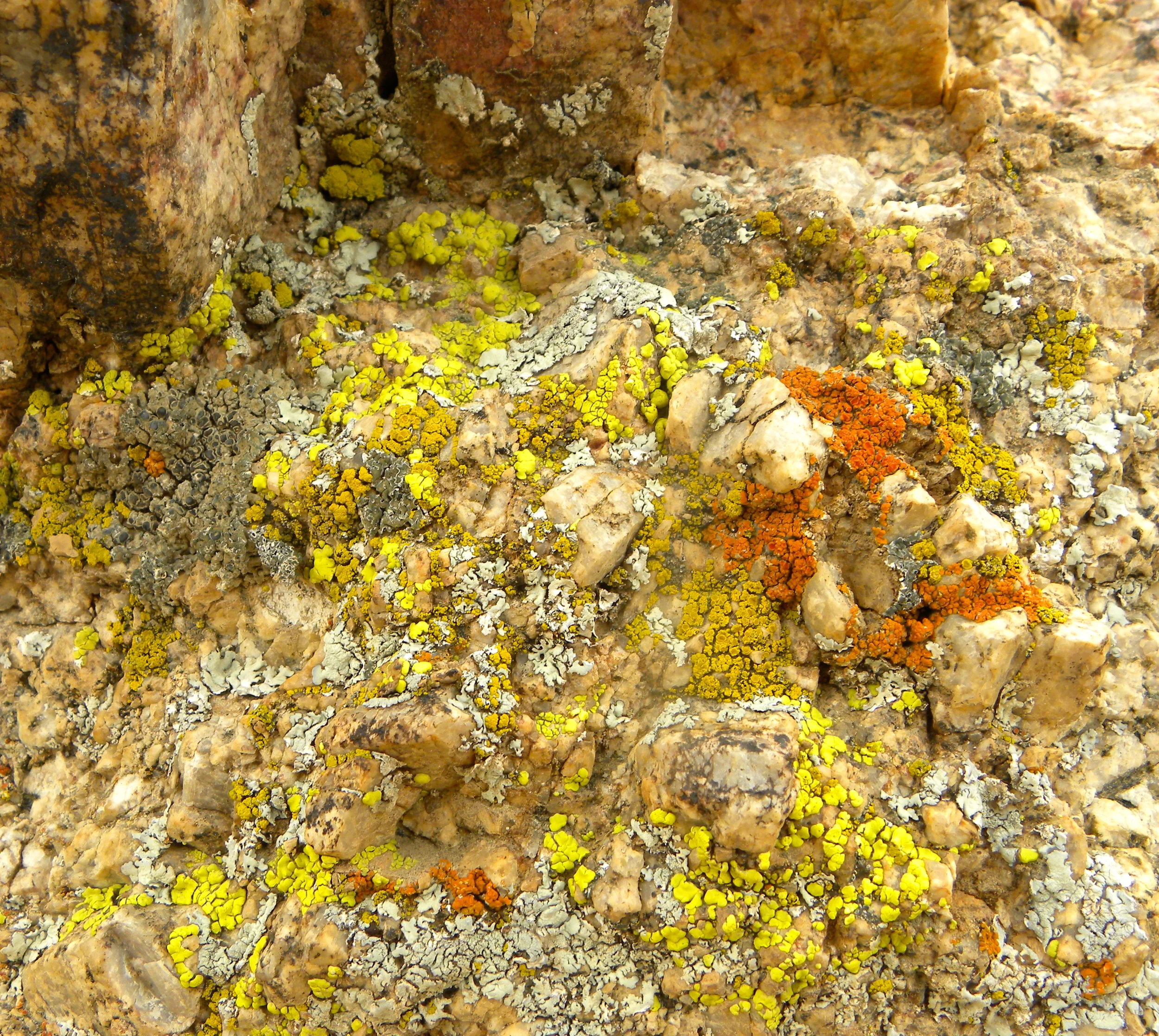 DSCN2032XXSMx 45.JPG