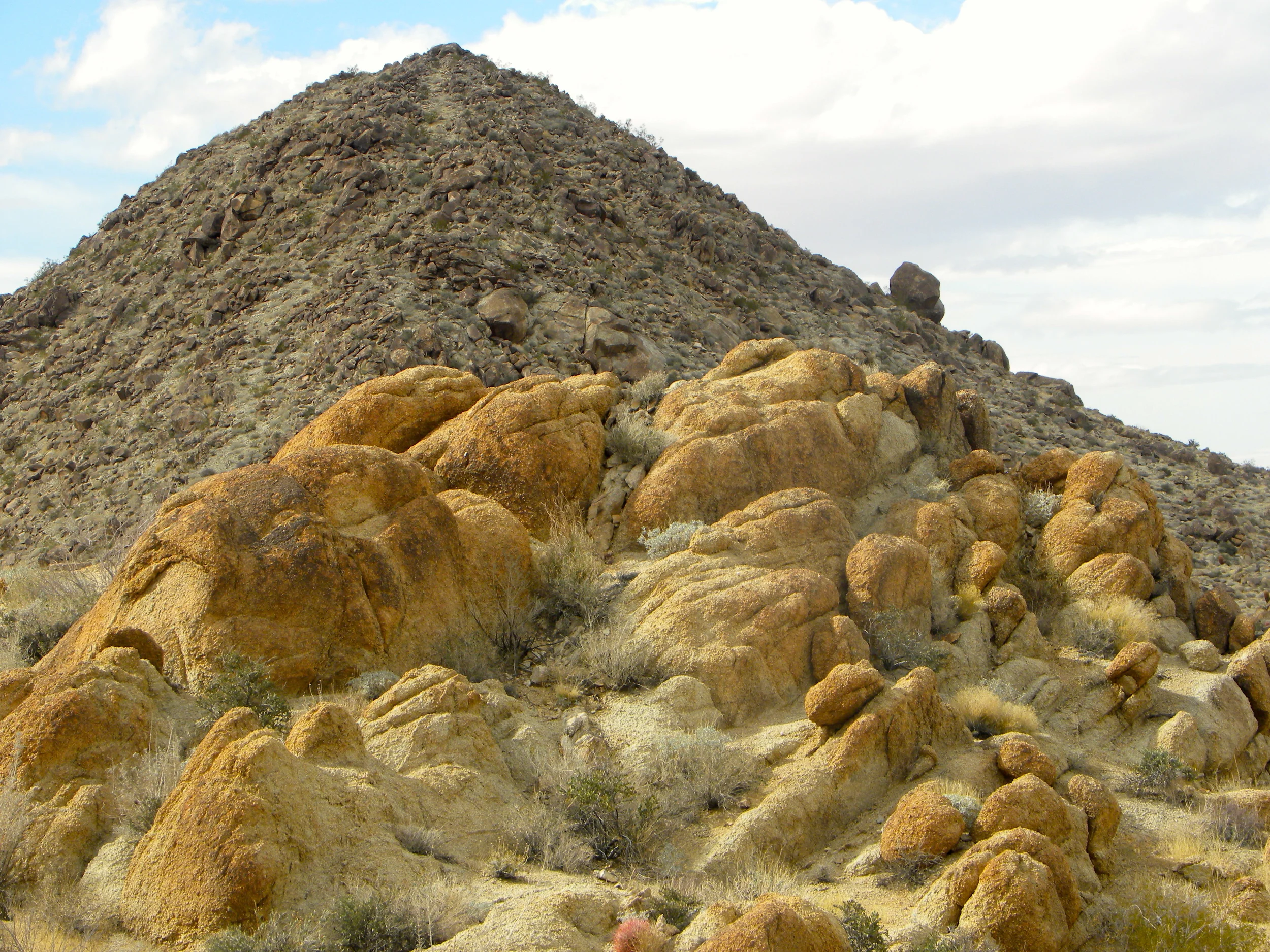 DSCN2032XXSMx 46.JPG