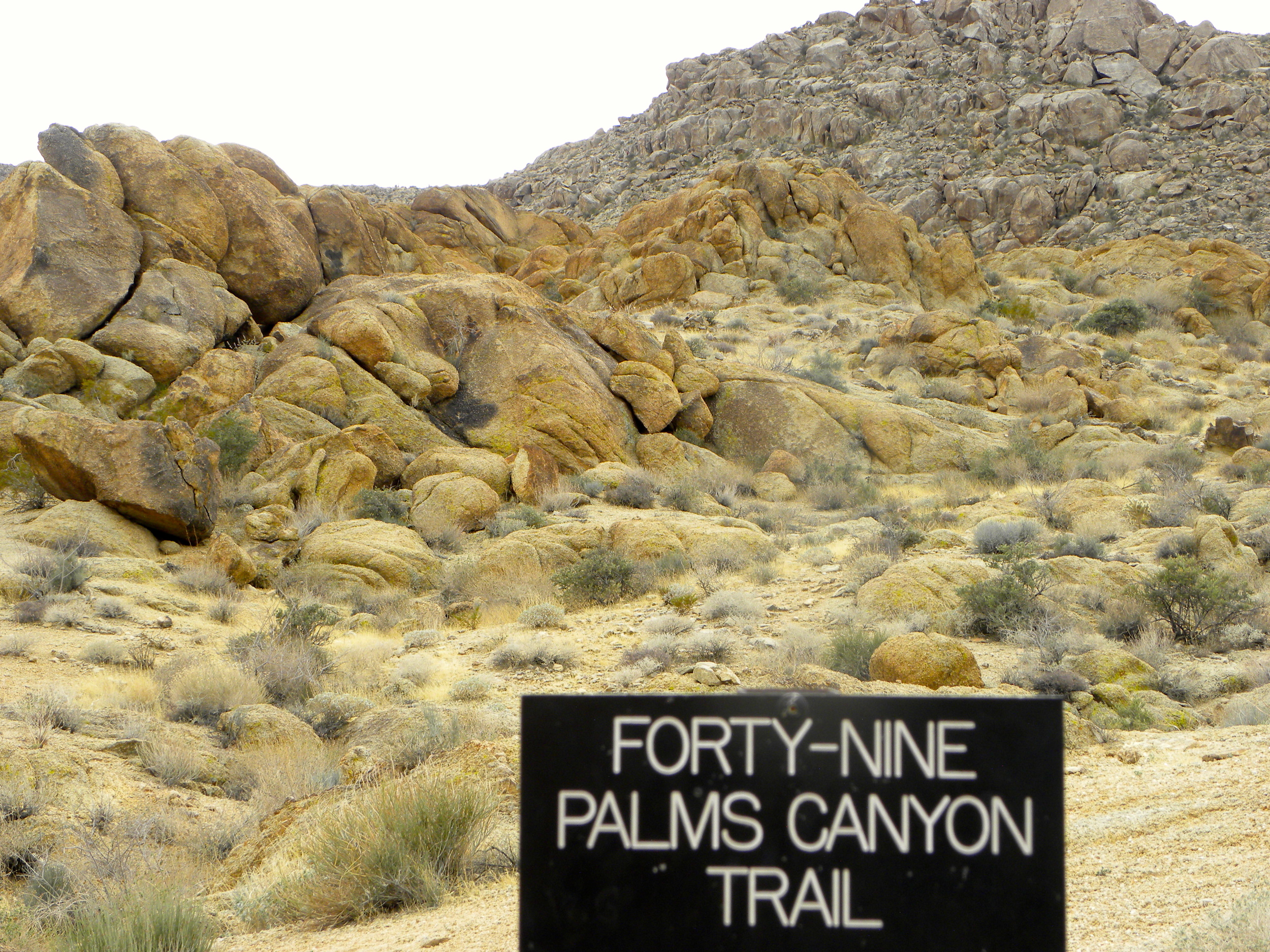 DSCN2032XXSMx 48.JPG