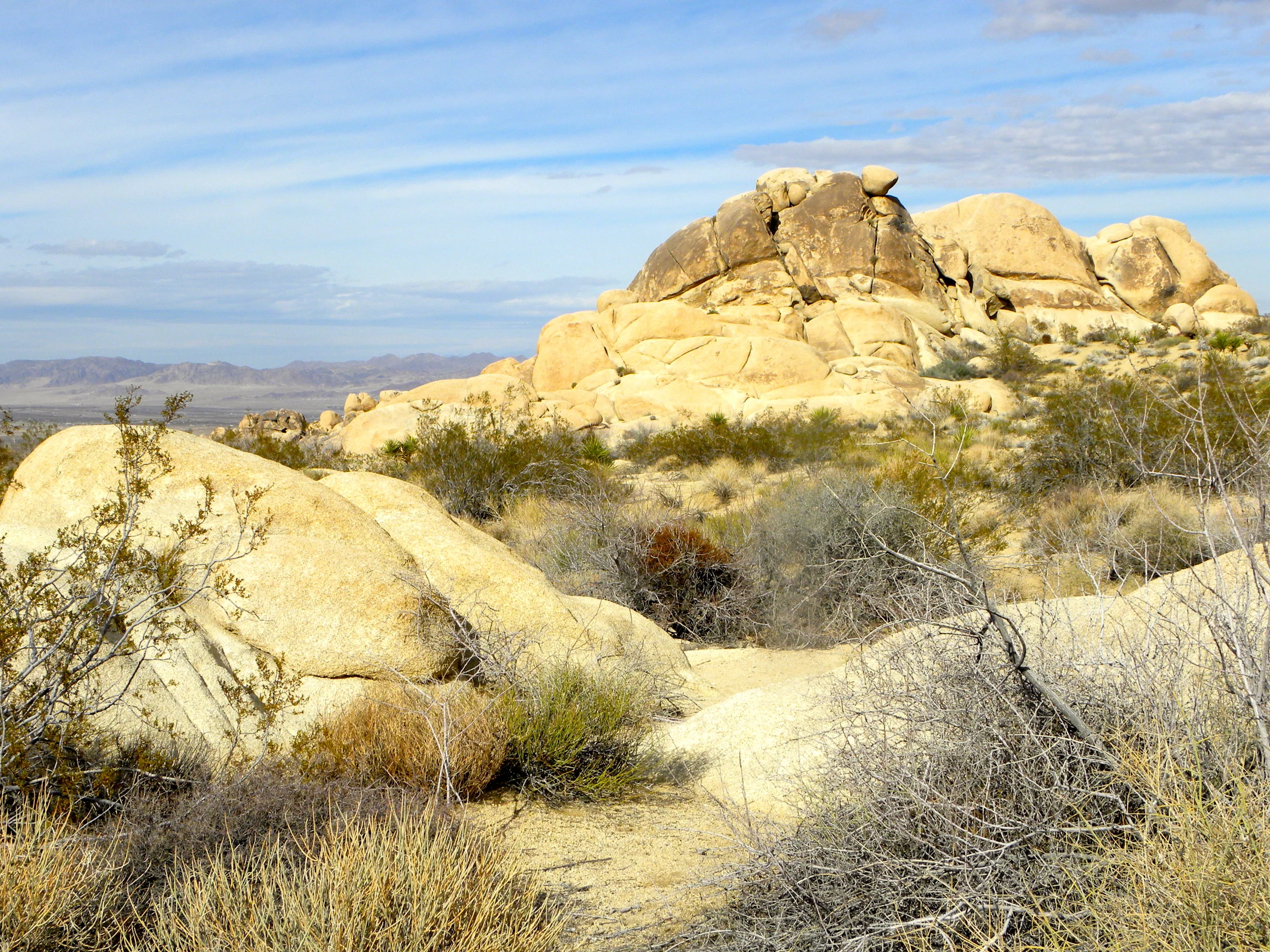 DSCN2032XXSMx 10.JPG