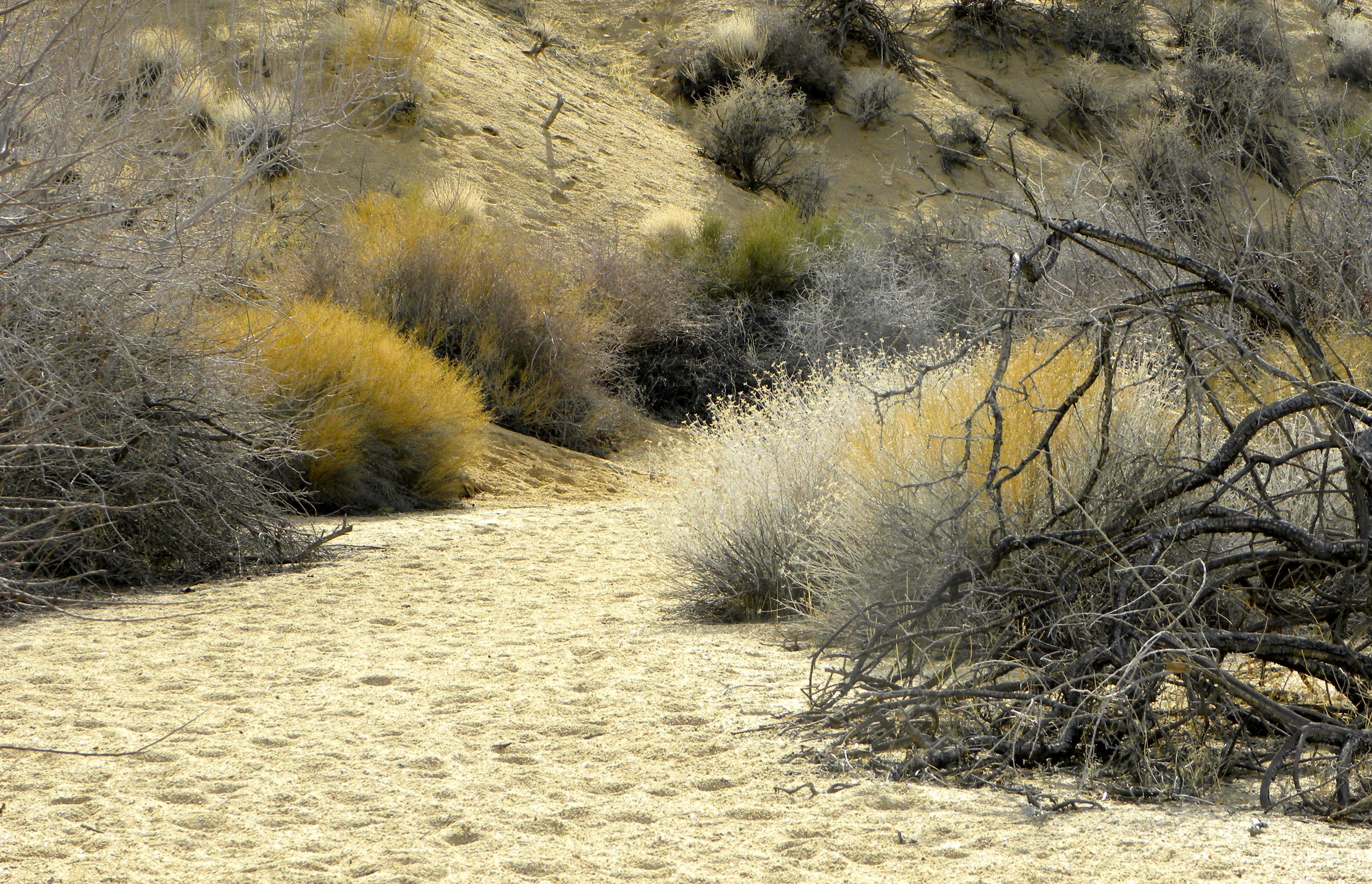 DSCN2032XXSMx 12.JPG