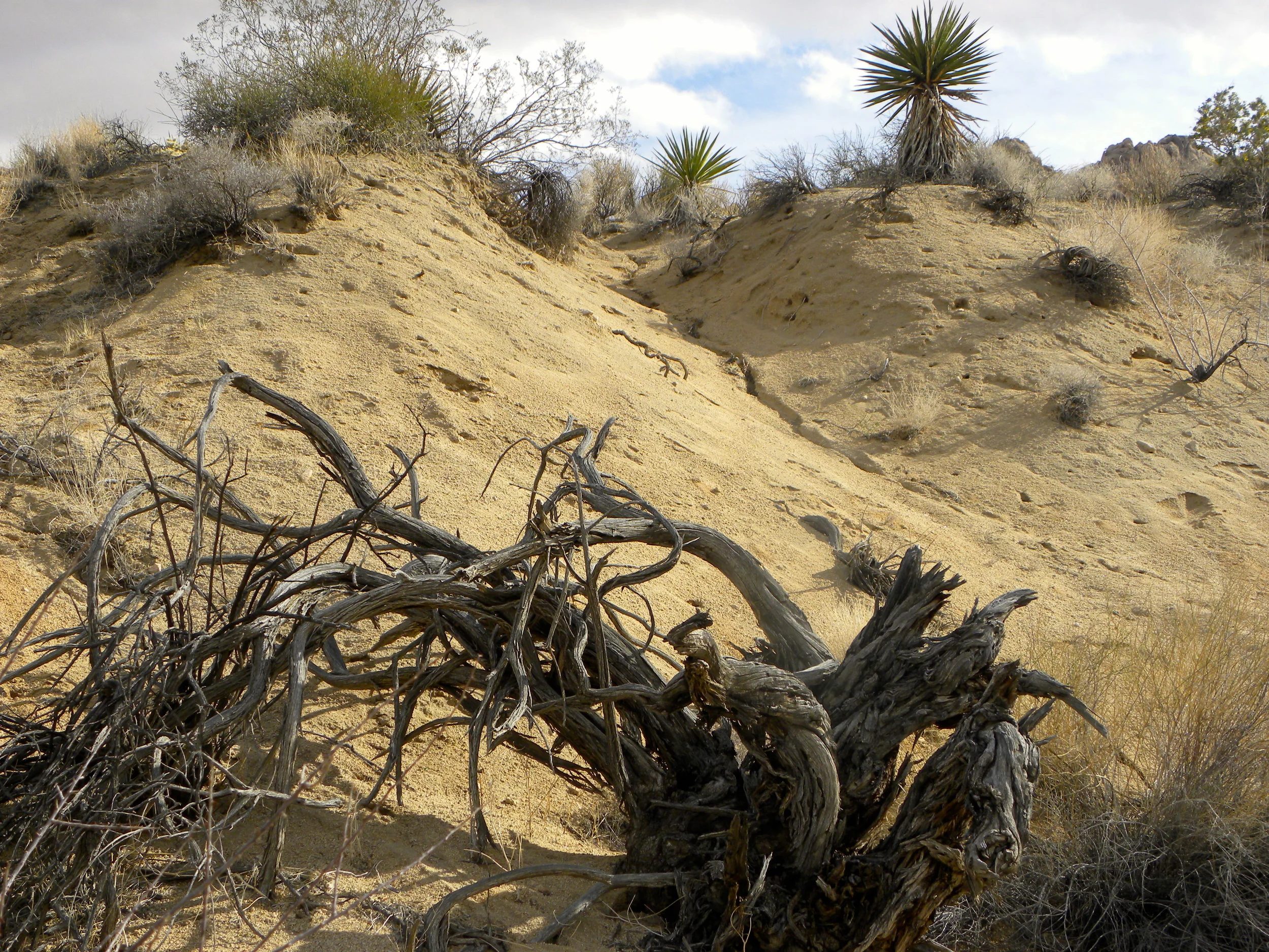 DSCN2032XXSMx 13.JPG