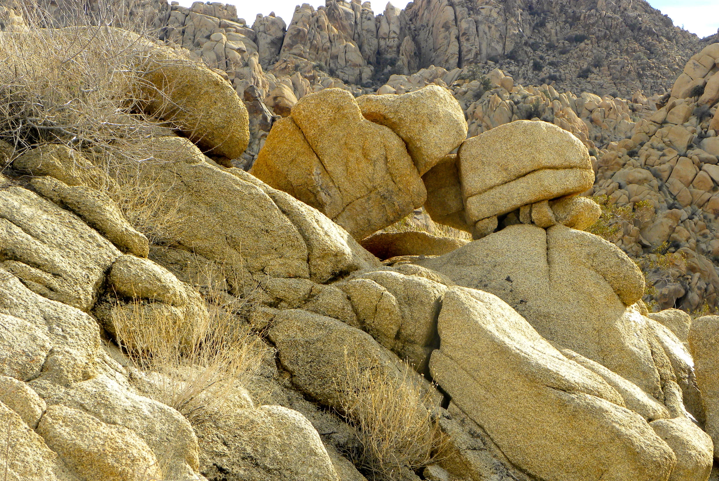 DSCN2032XXSMx 16.JPG