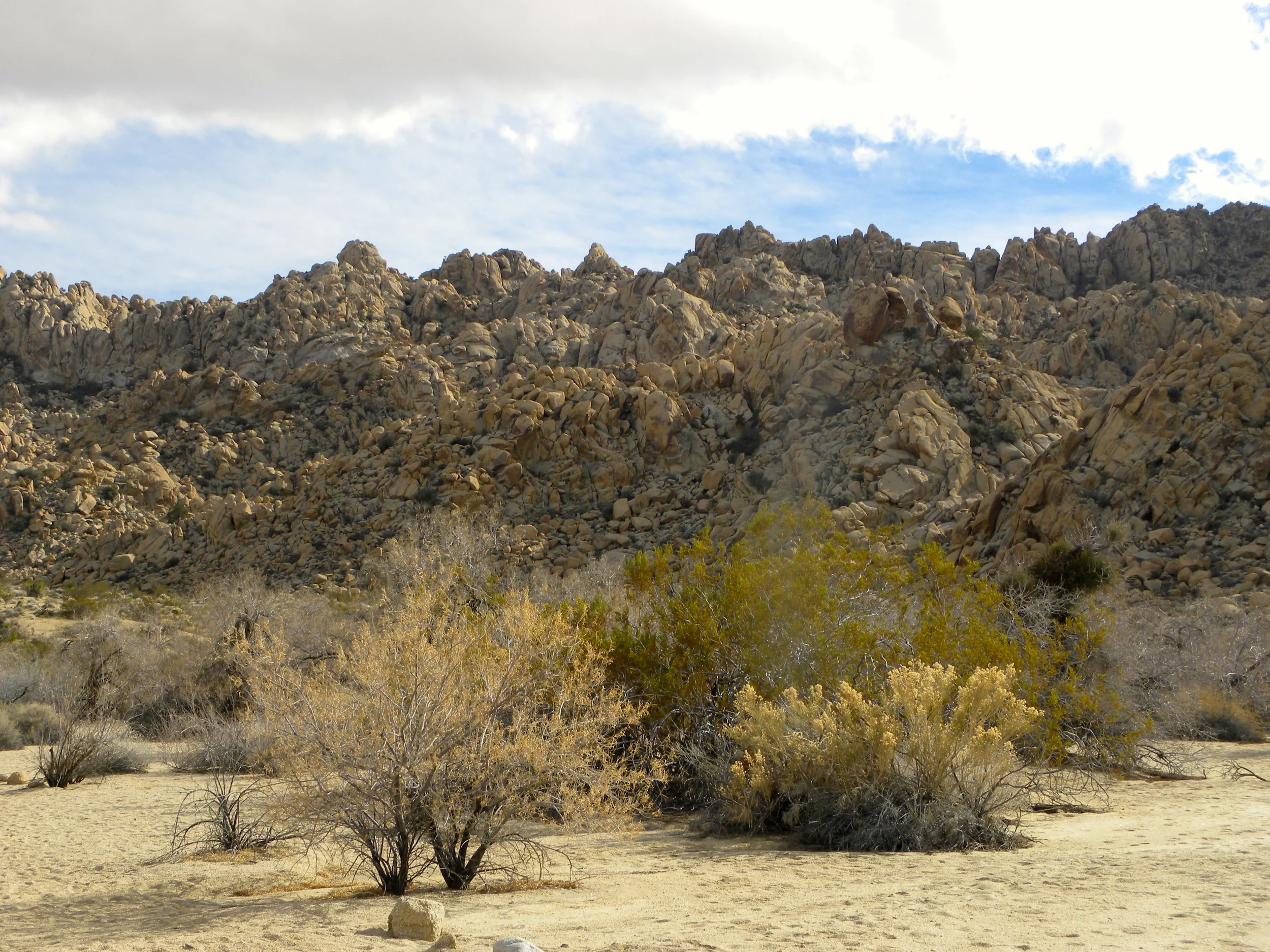 DSCN2032XXSMx 17.JPG