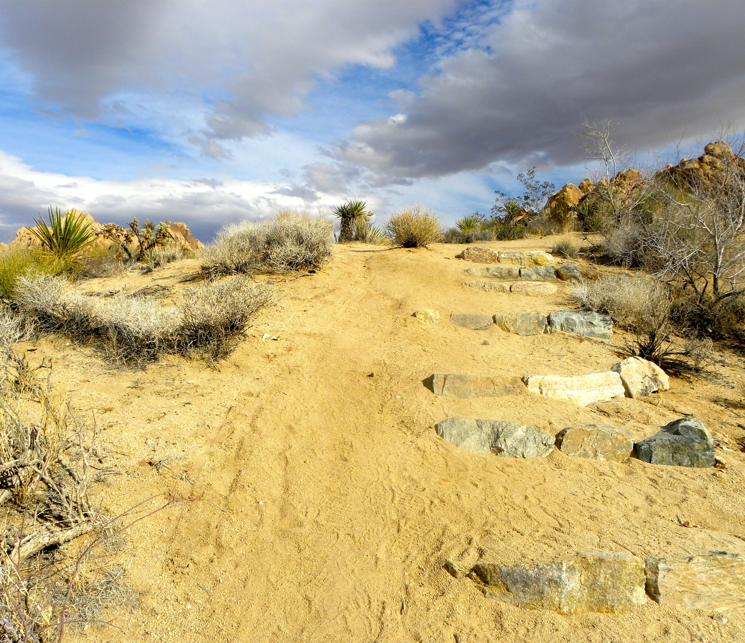 DSCN2032XXSMx 20.JPG