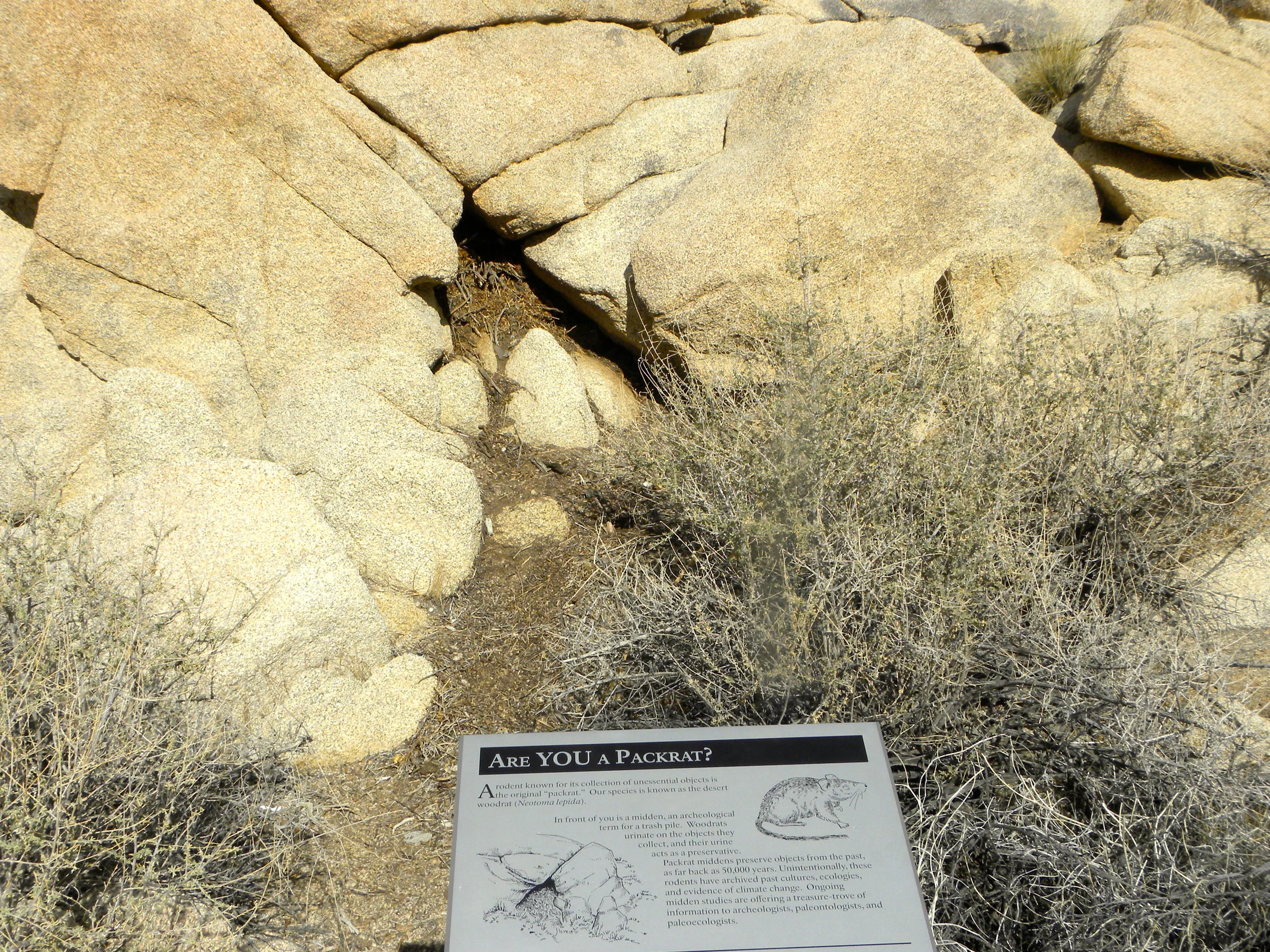 DSCN2032XXSMx 19.JPG