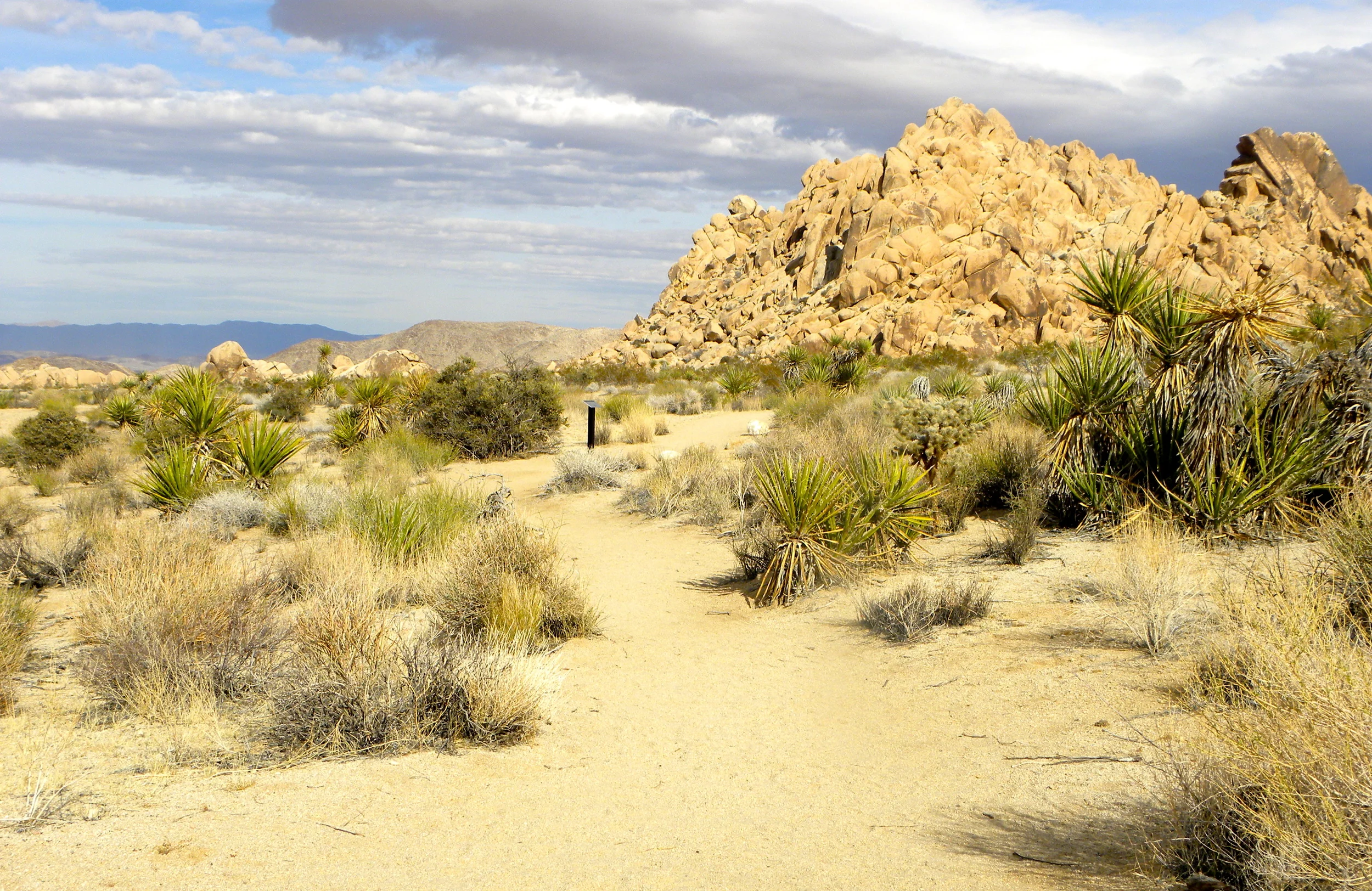 DSCN2032XXSMx 22.JPG