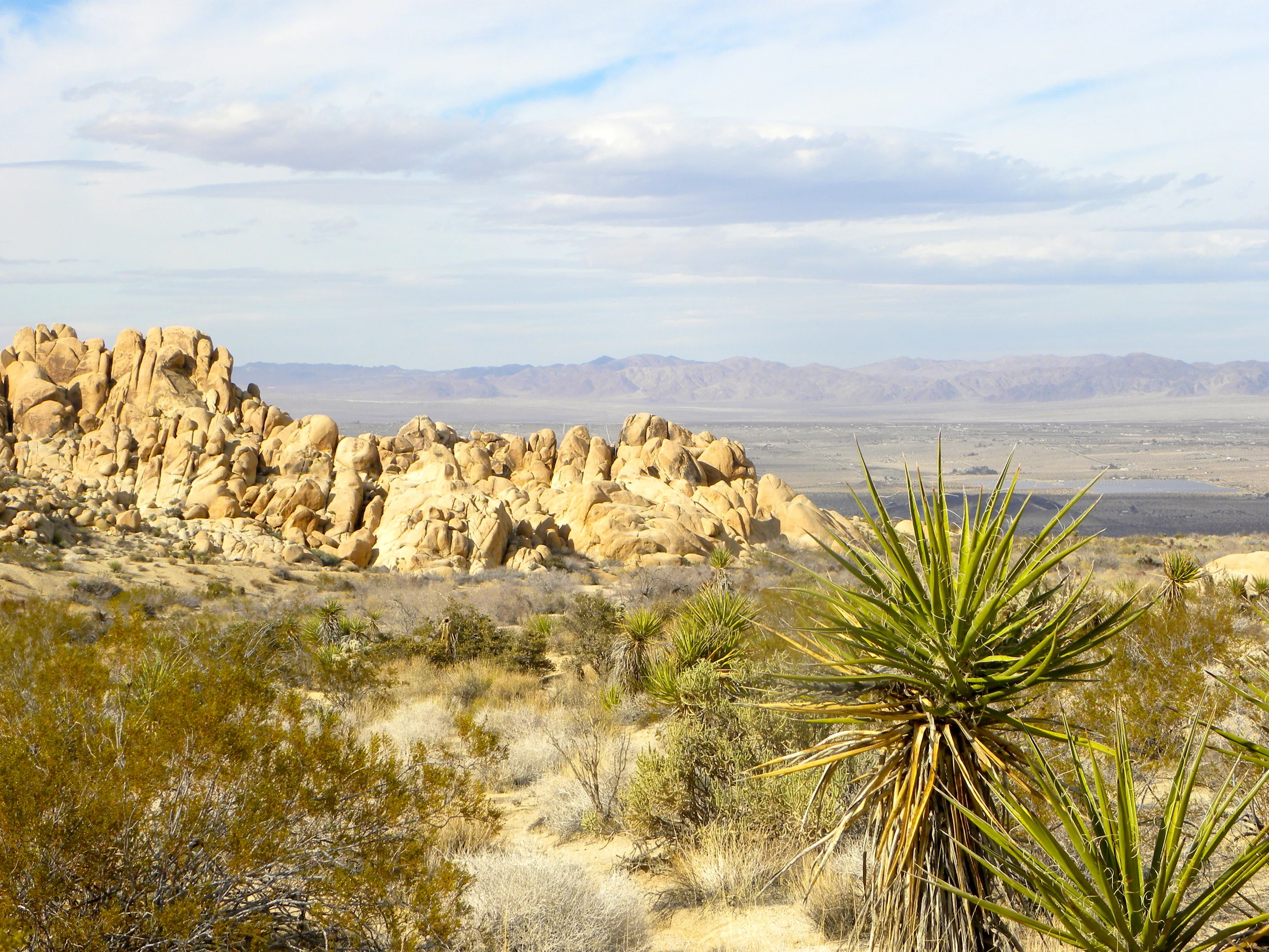 DSCN2032XXSMx 26.JPG