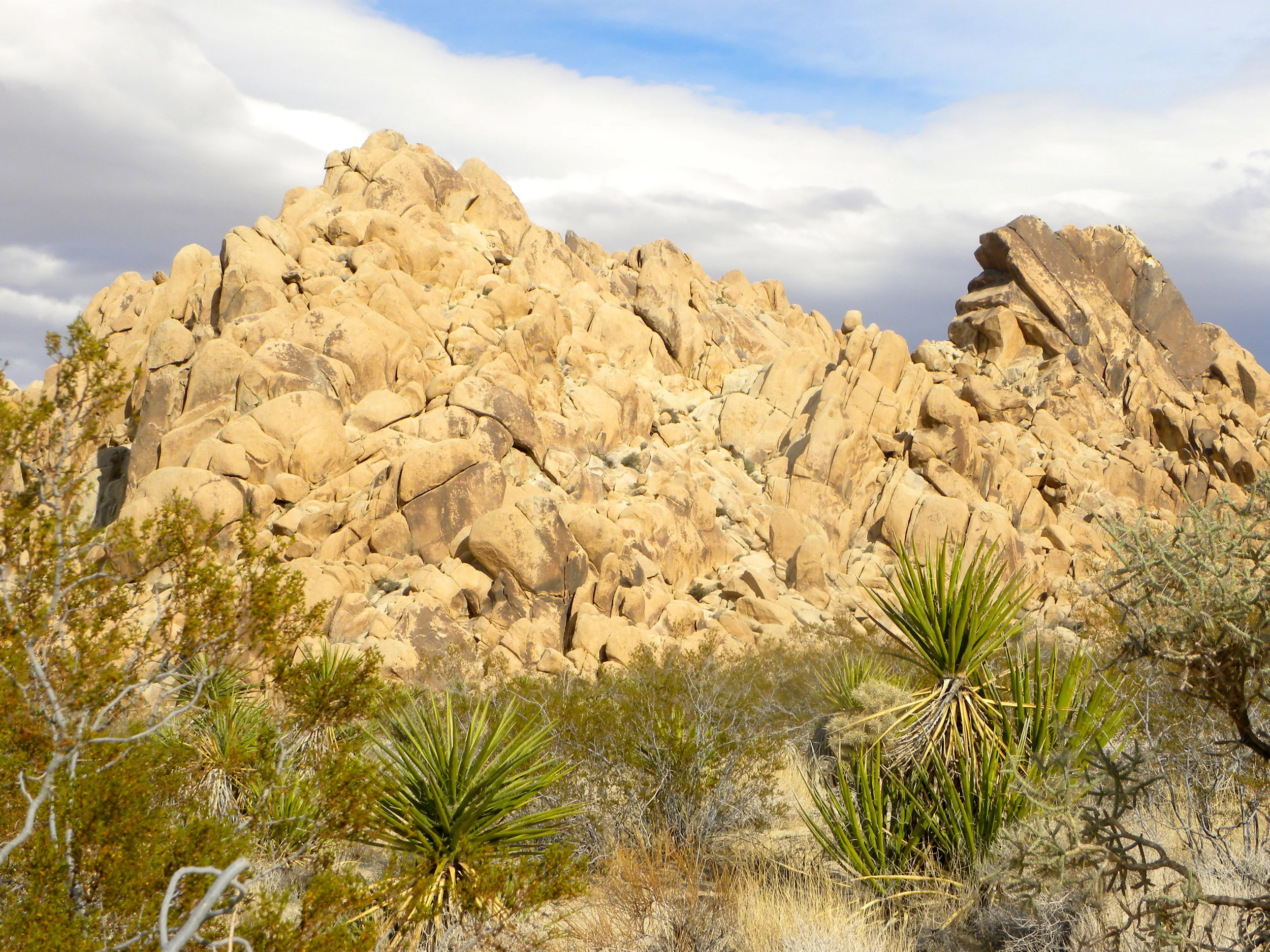 DSCN2032XXSMx 25.JPG