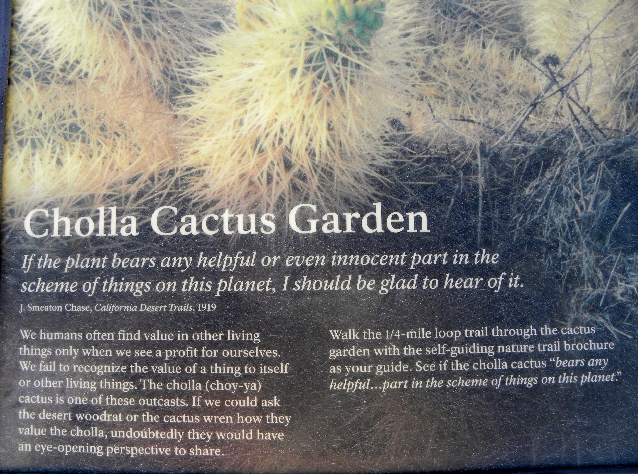 DSCN2032XXSMx 11.JPG