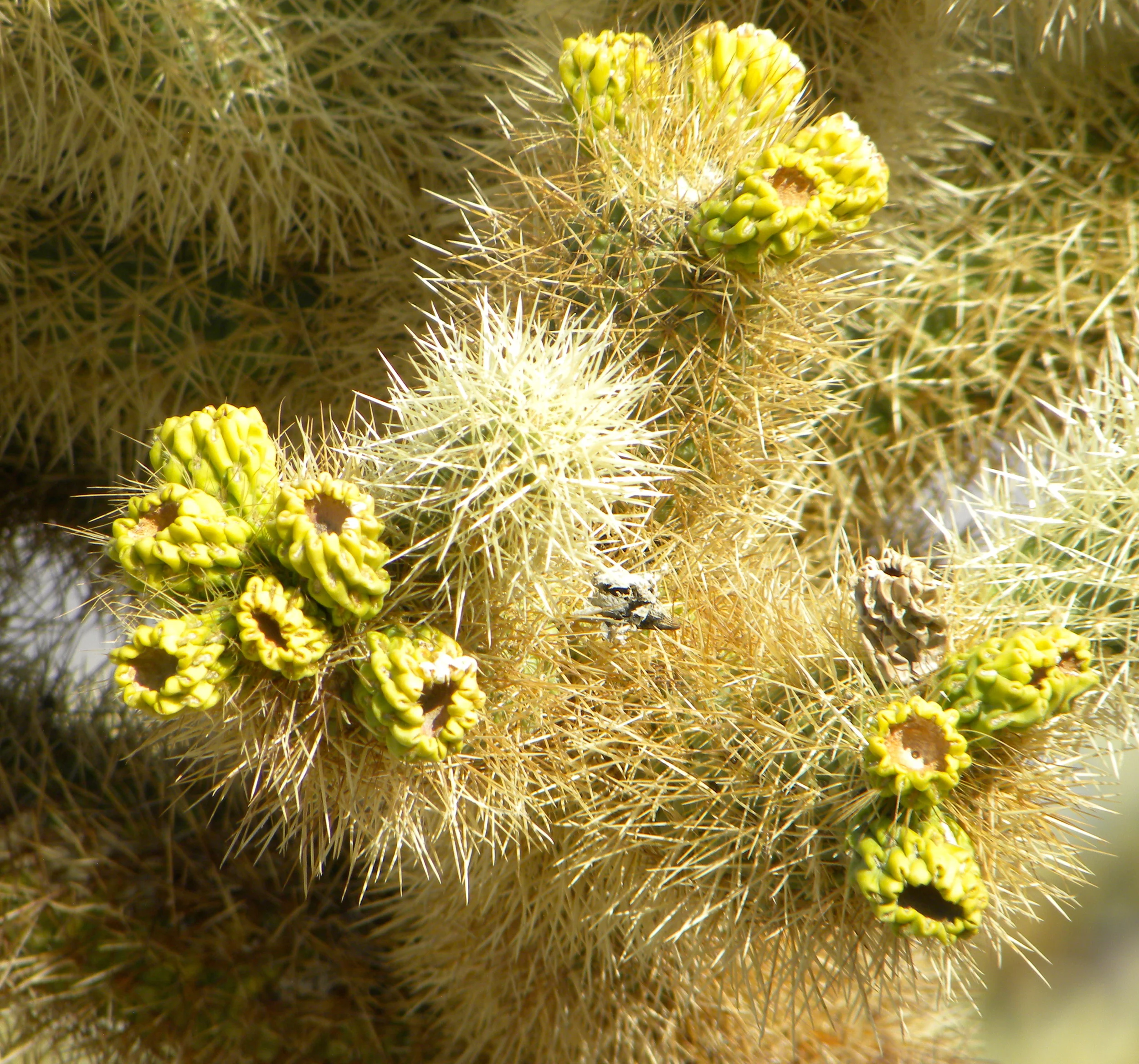 DSCN2032XXSMx 13.JPG