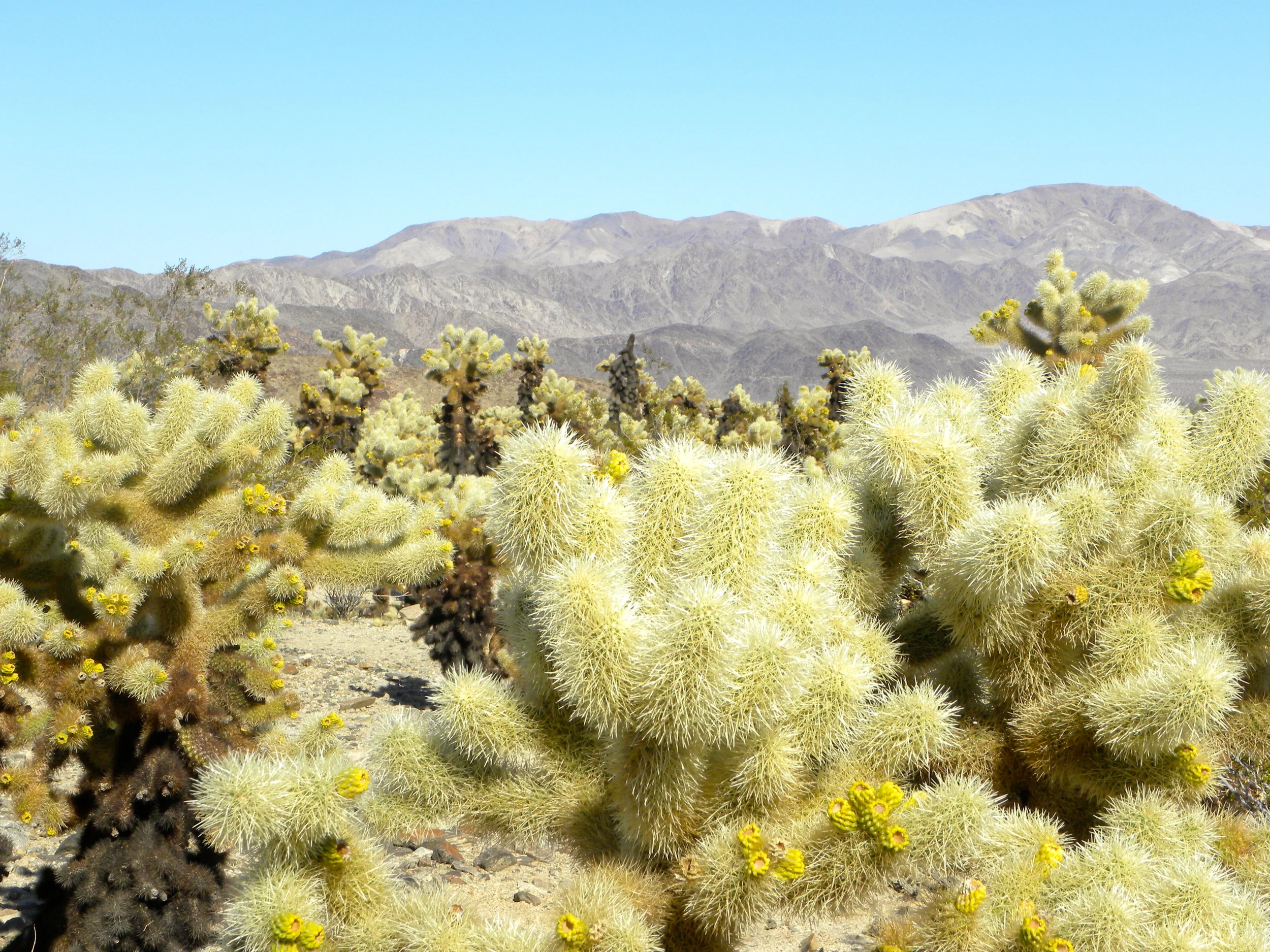 DSCN2032XXSMx 14.JPG