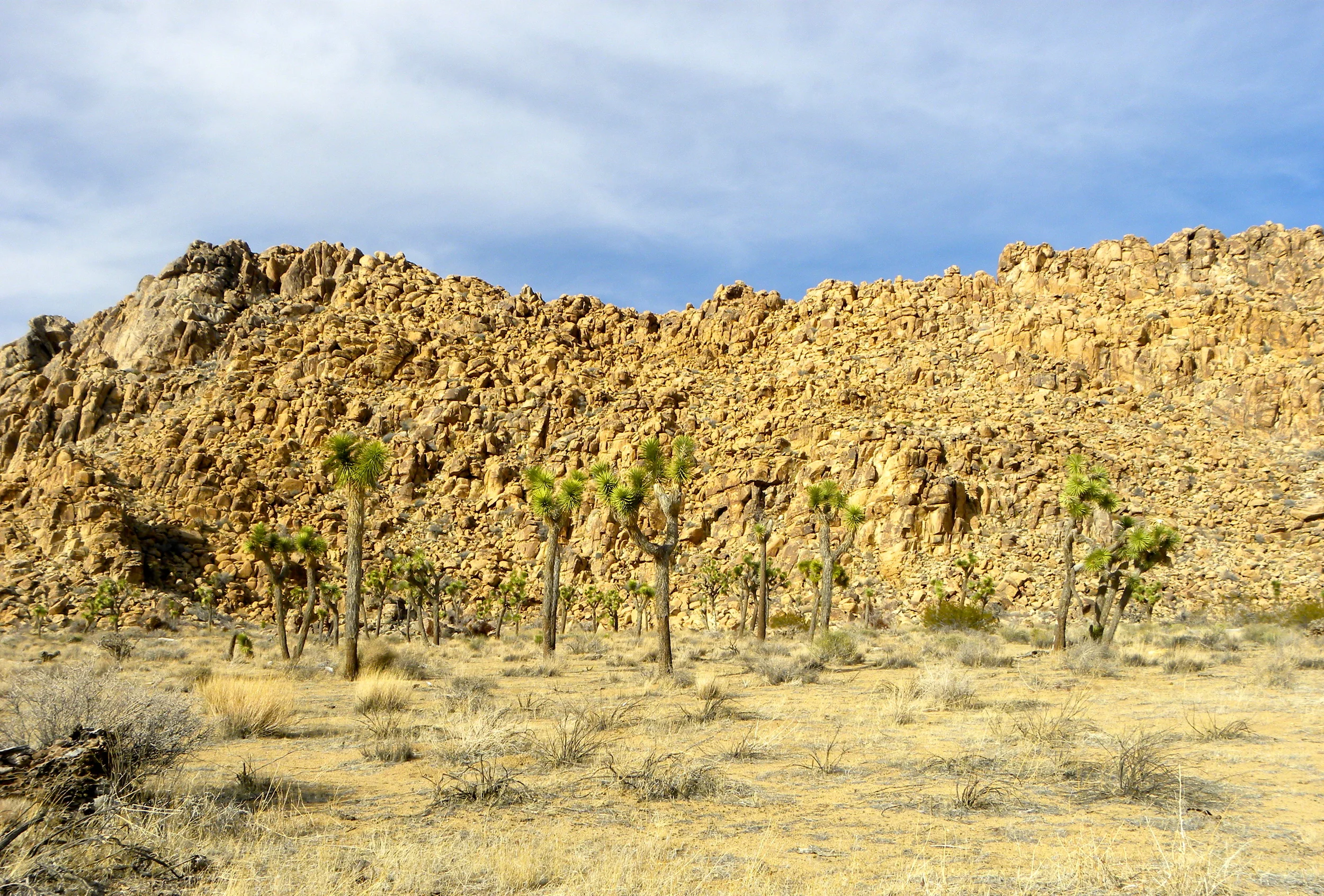 DSCN2032XXSMx 16.JPG