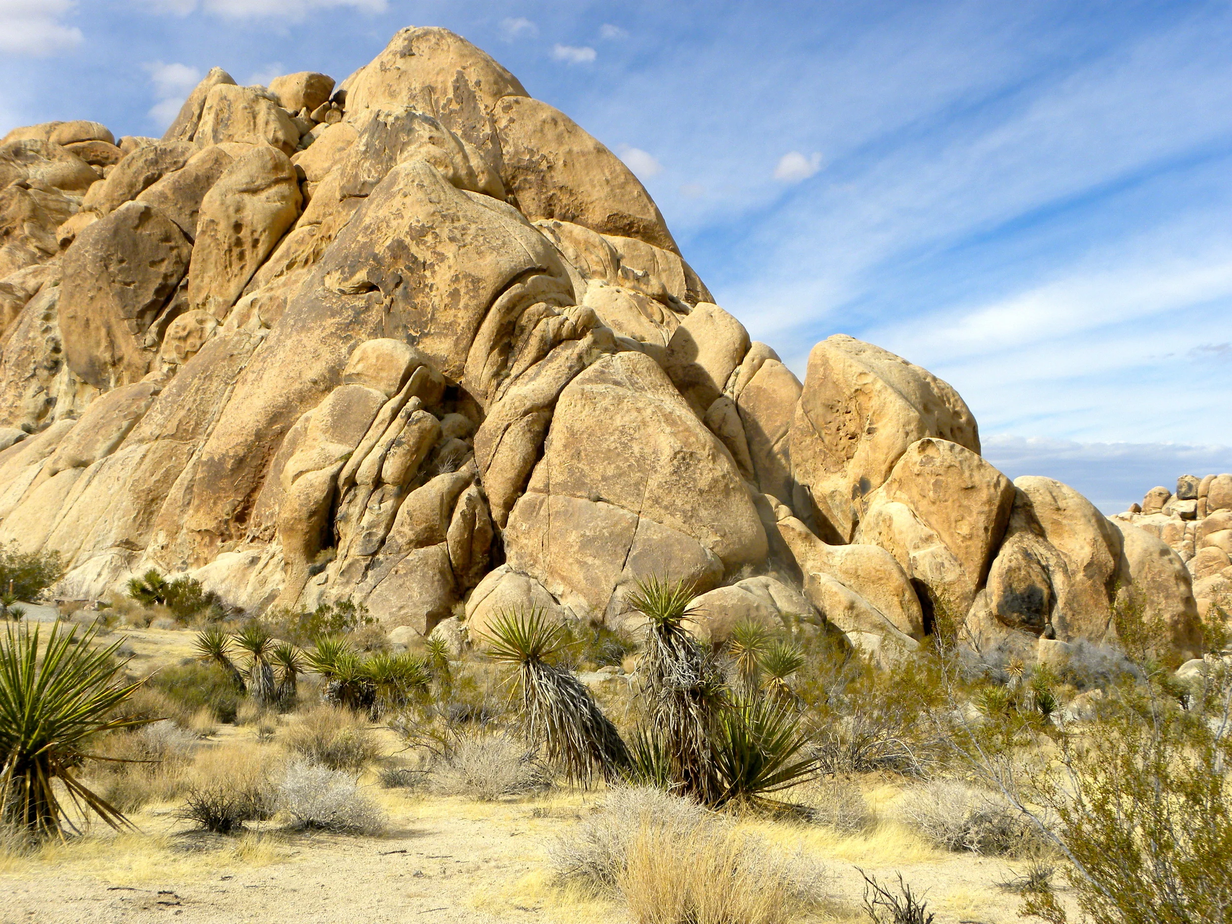 DSCN2032XXSMx 17.JPG