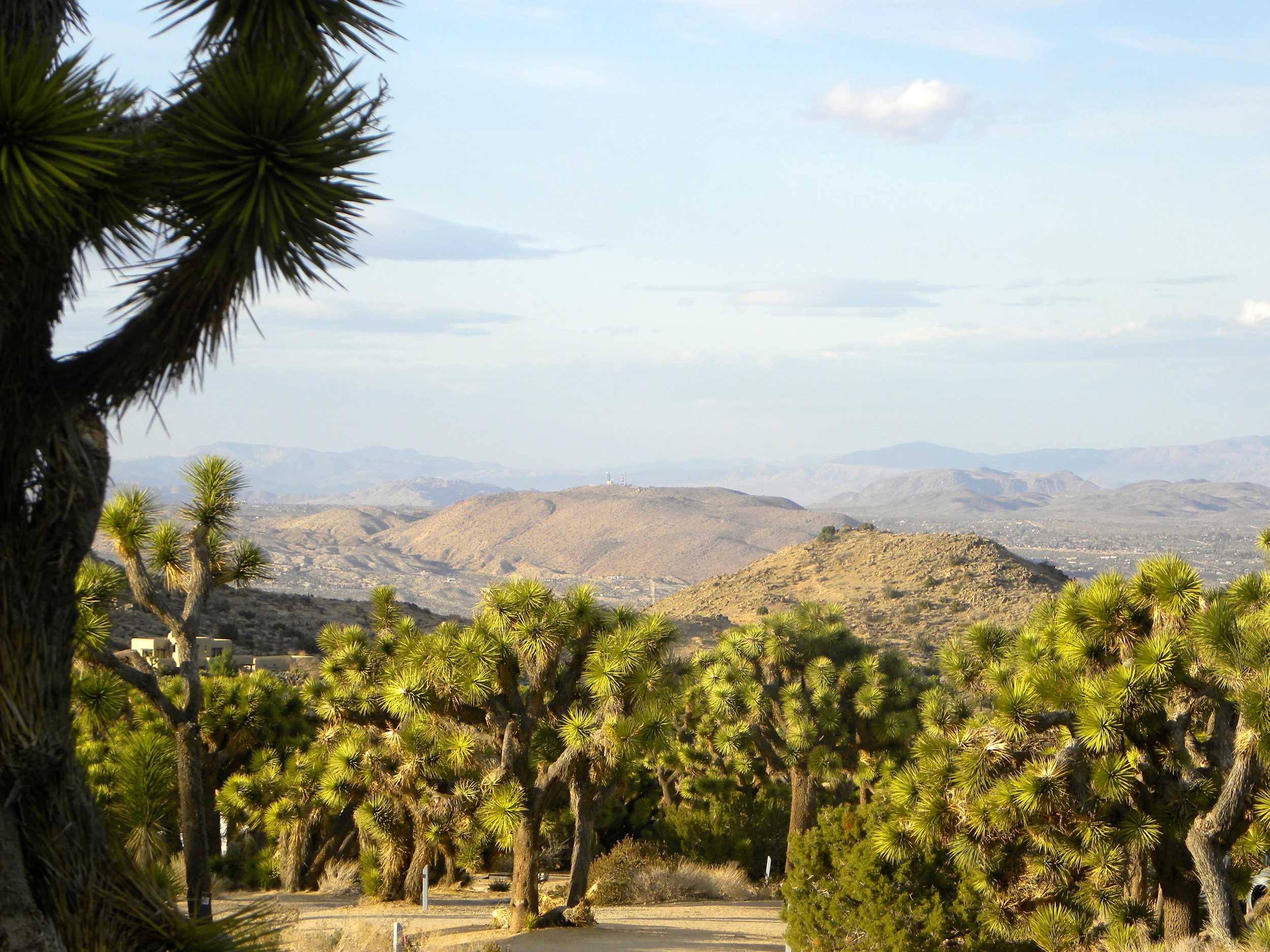 DSCN2032XXSMx 19.JPG