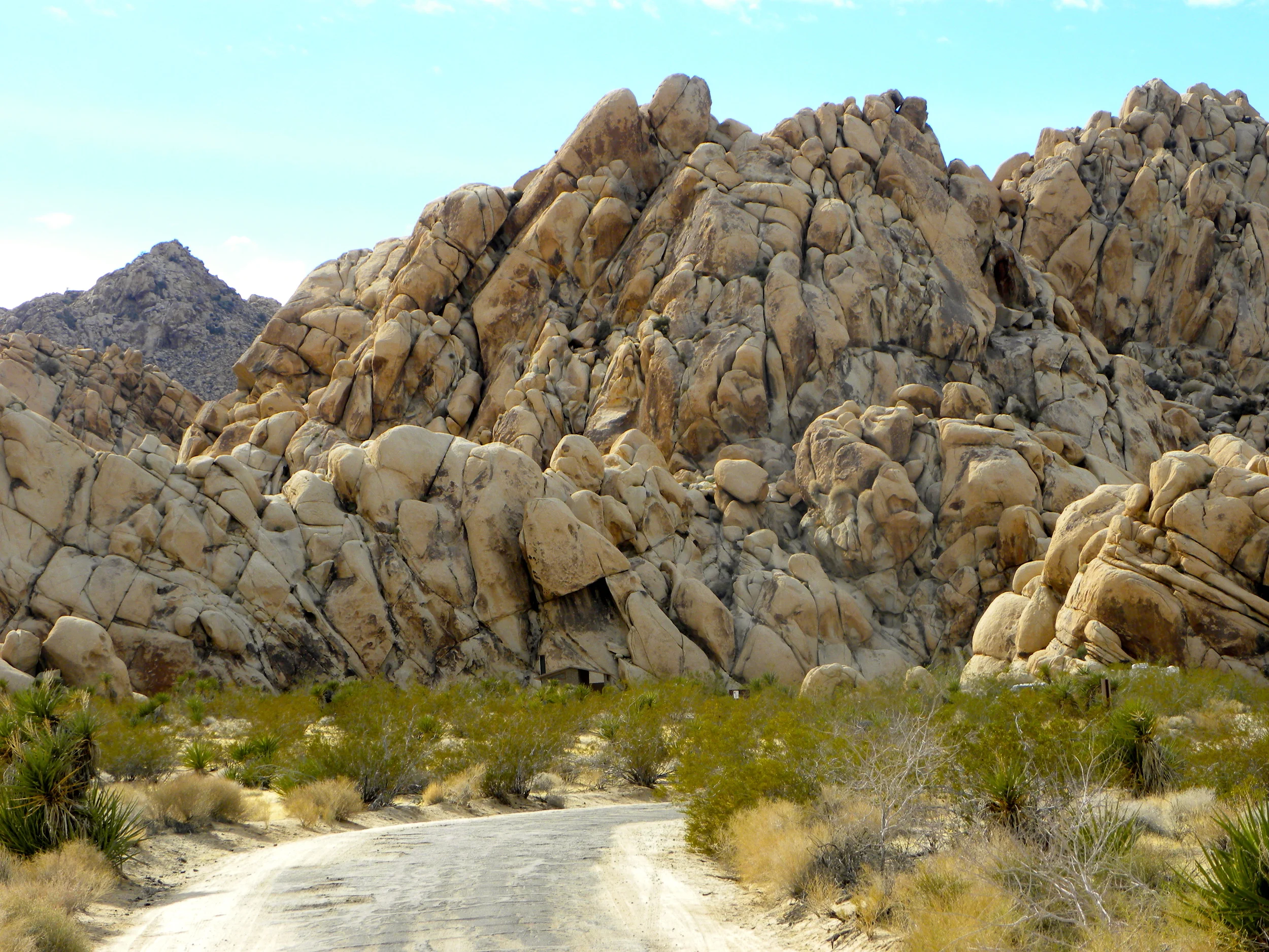 DSCN2032XXSMx 18.JPG