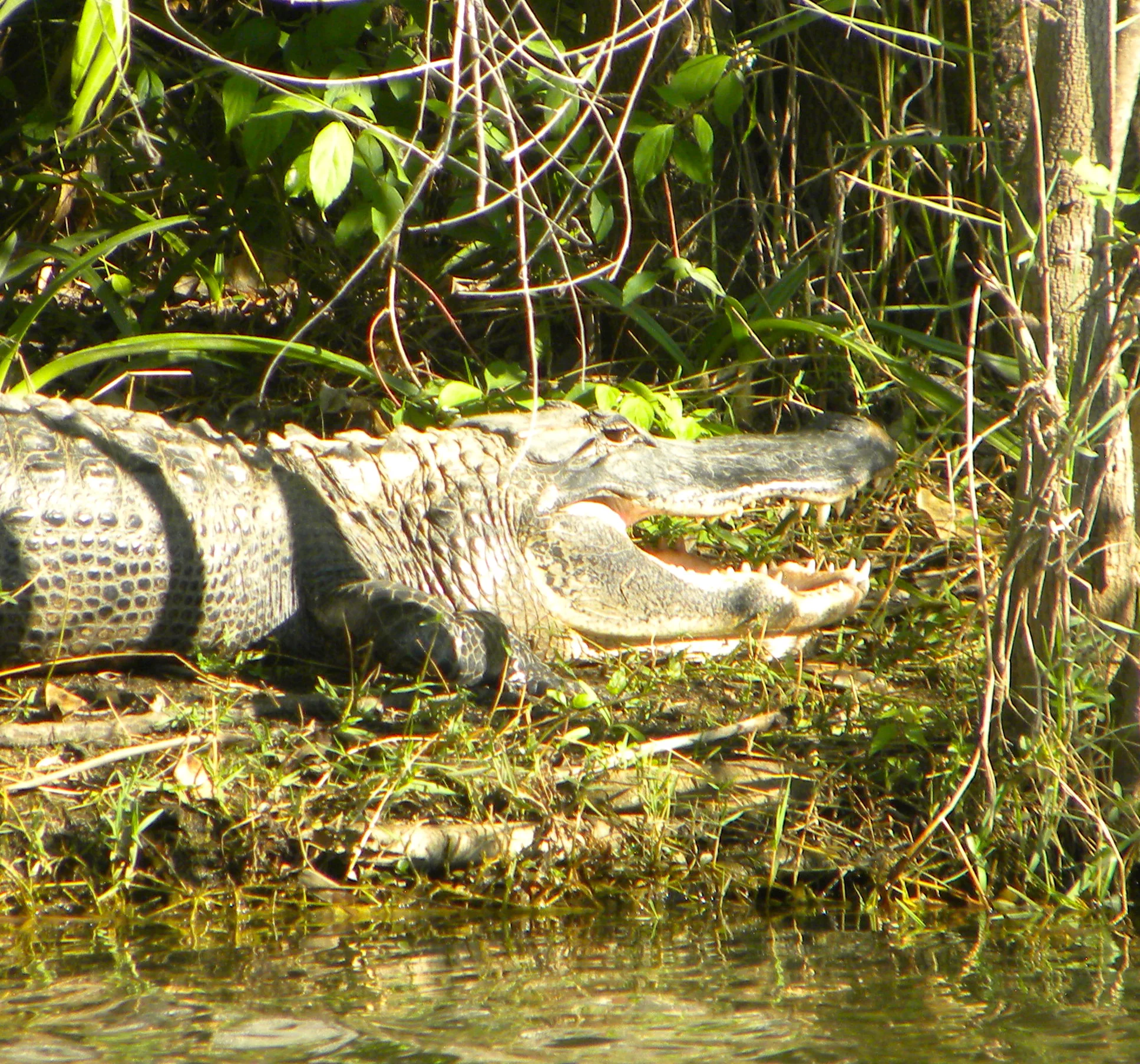 DSCN9303.JPG