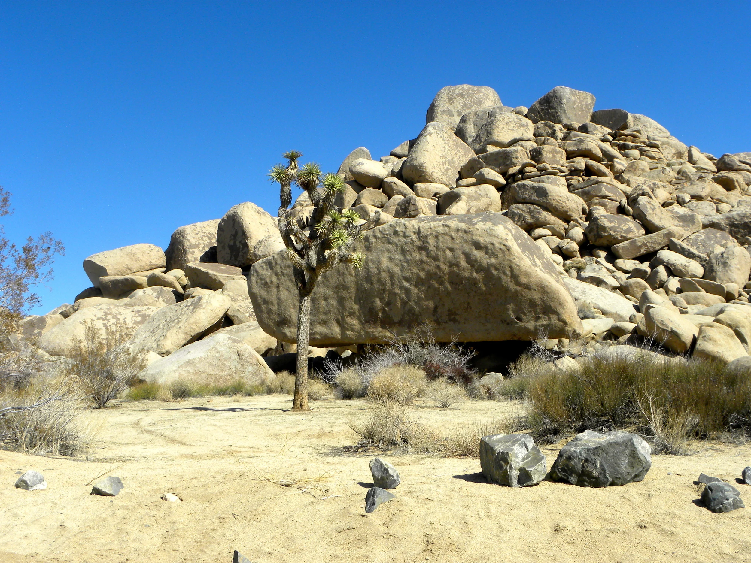 DSCN2032XXSMx 11.JPG