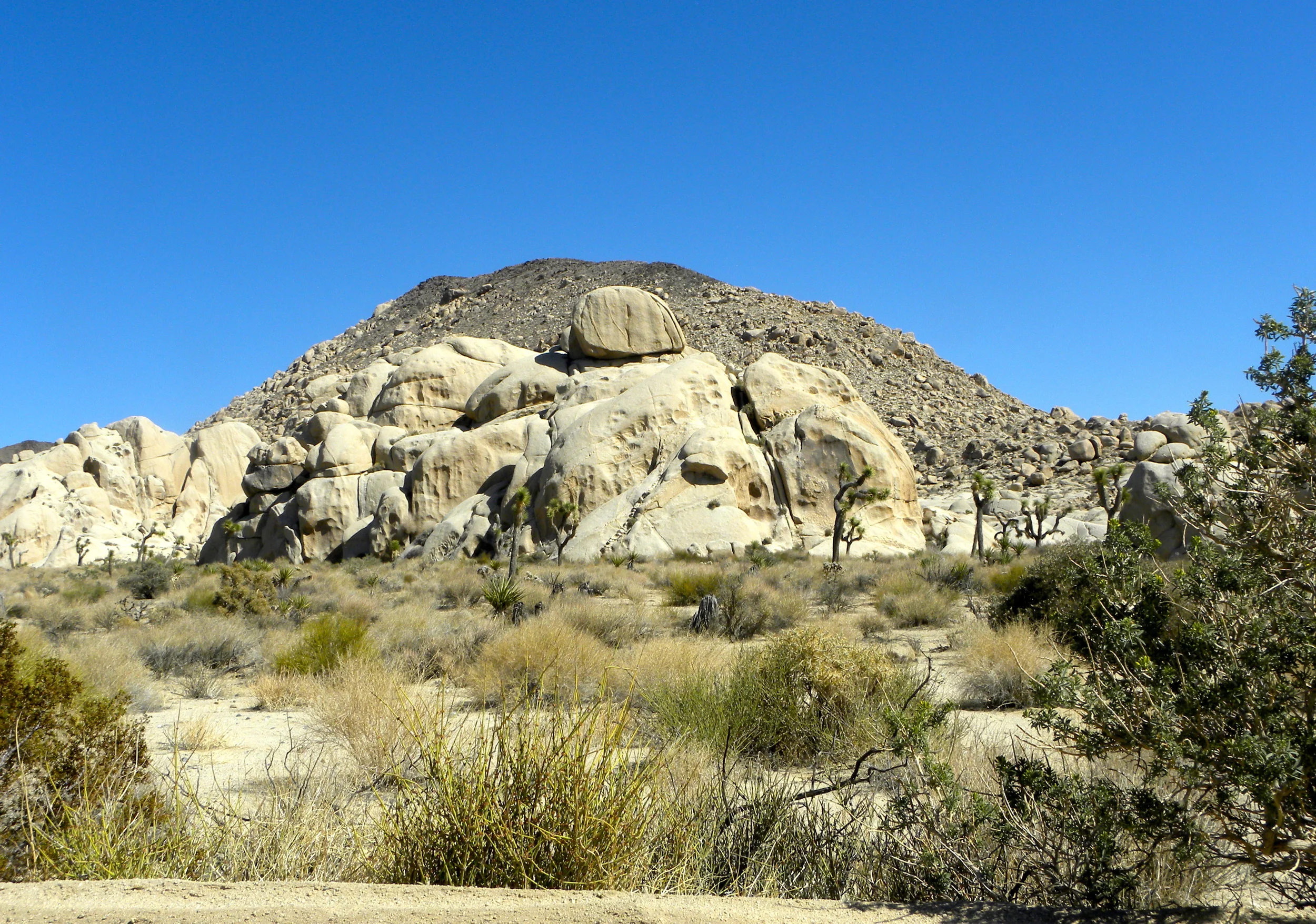 DSCN2032XXSMx 10.JPG