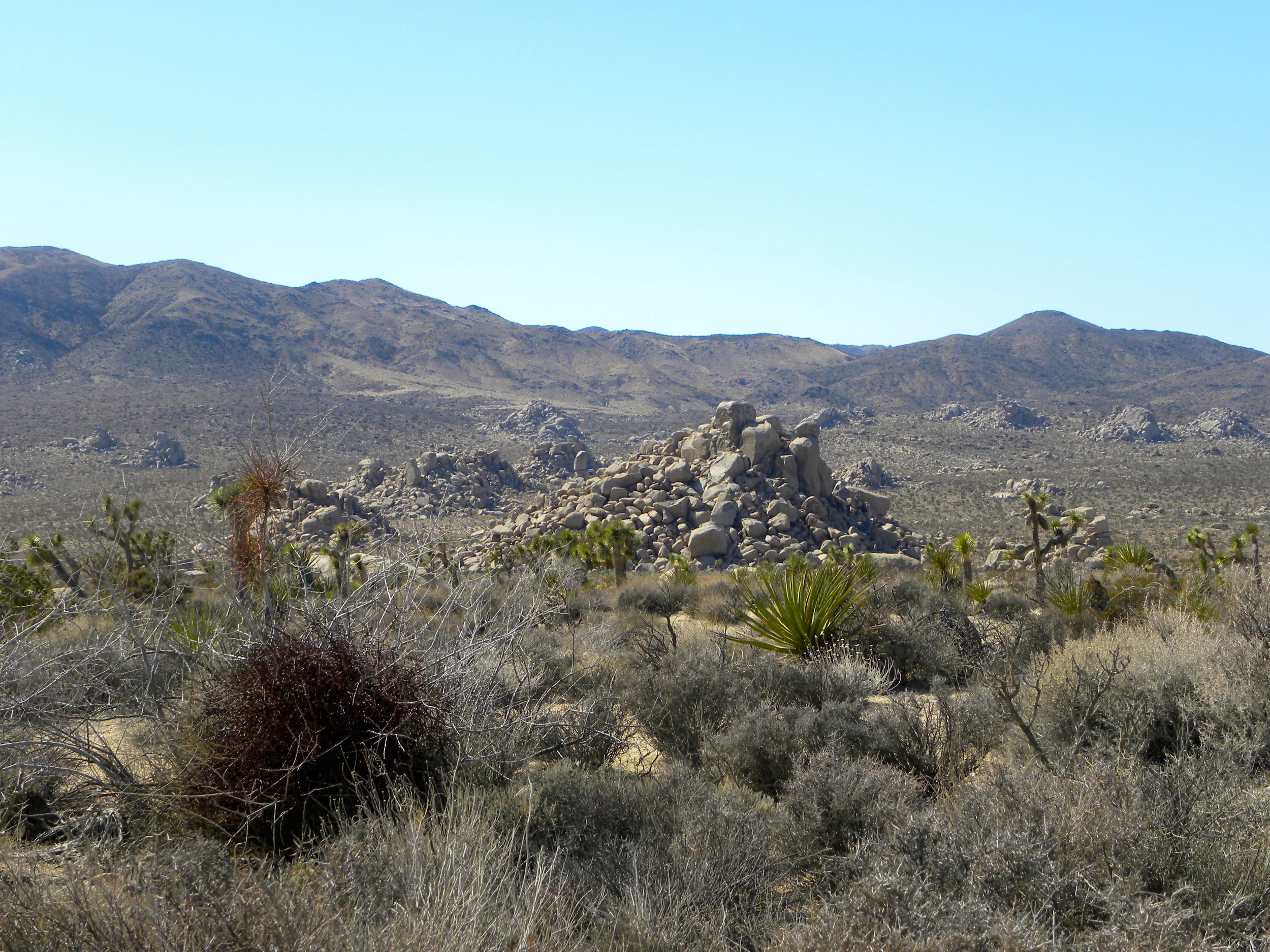 DSCN2032XXSMx 12.JPG