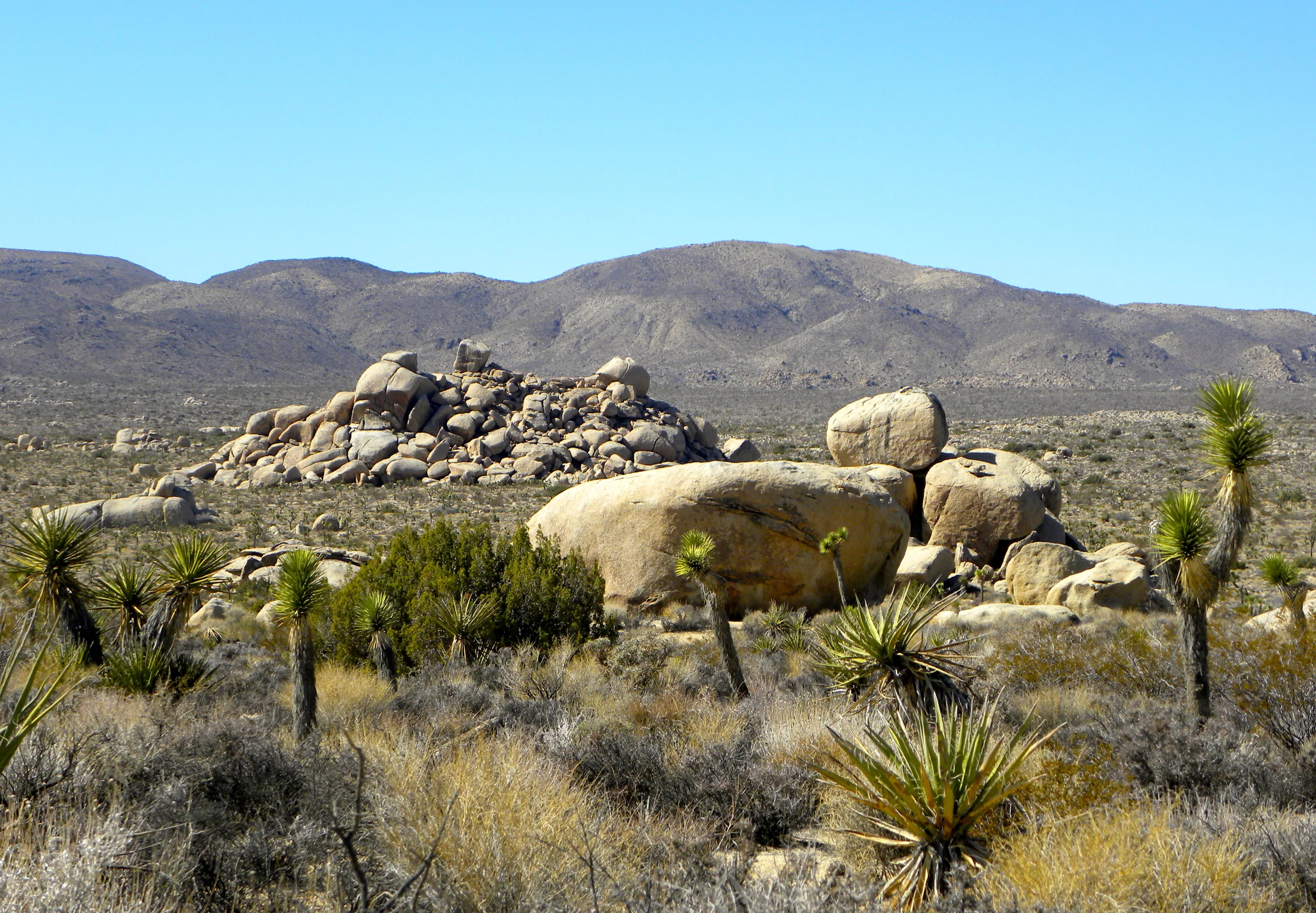 DSCN2032XXSMx 13.JPG