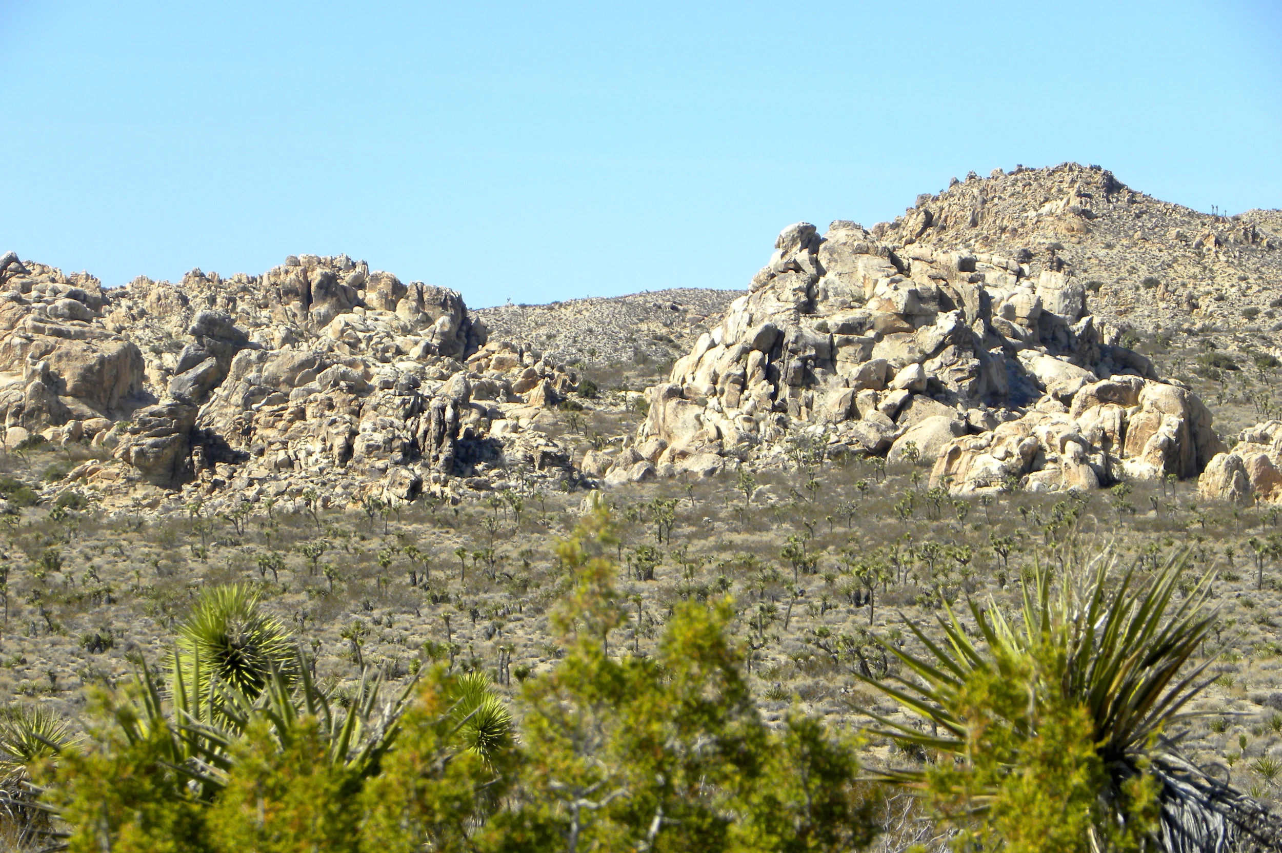 DSCN2032XXSMx 16.JPG