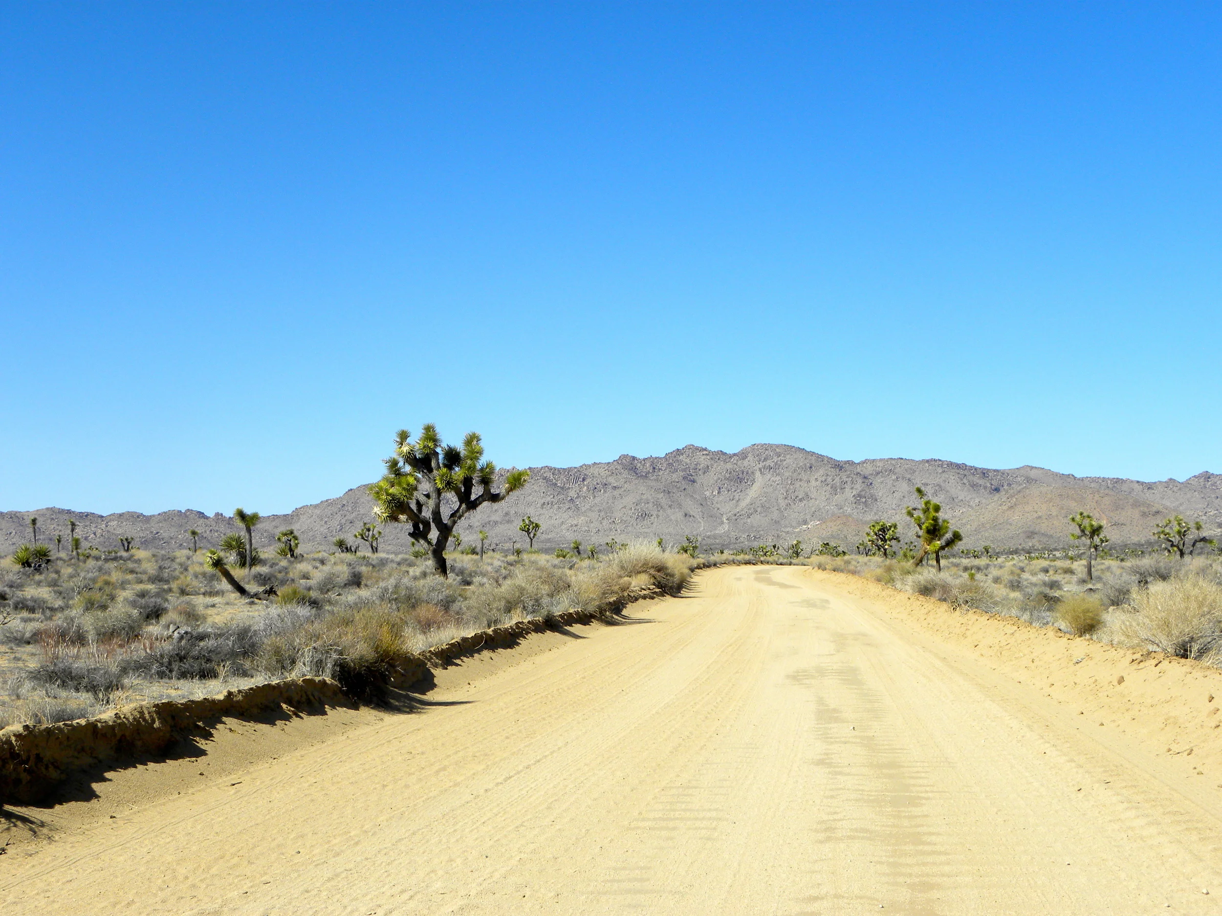 DSCN2032XXSMx 17.JPG