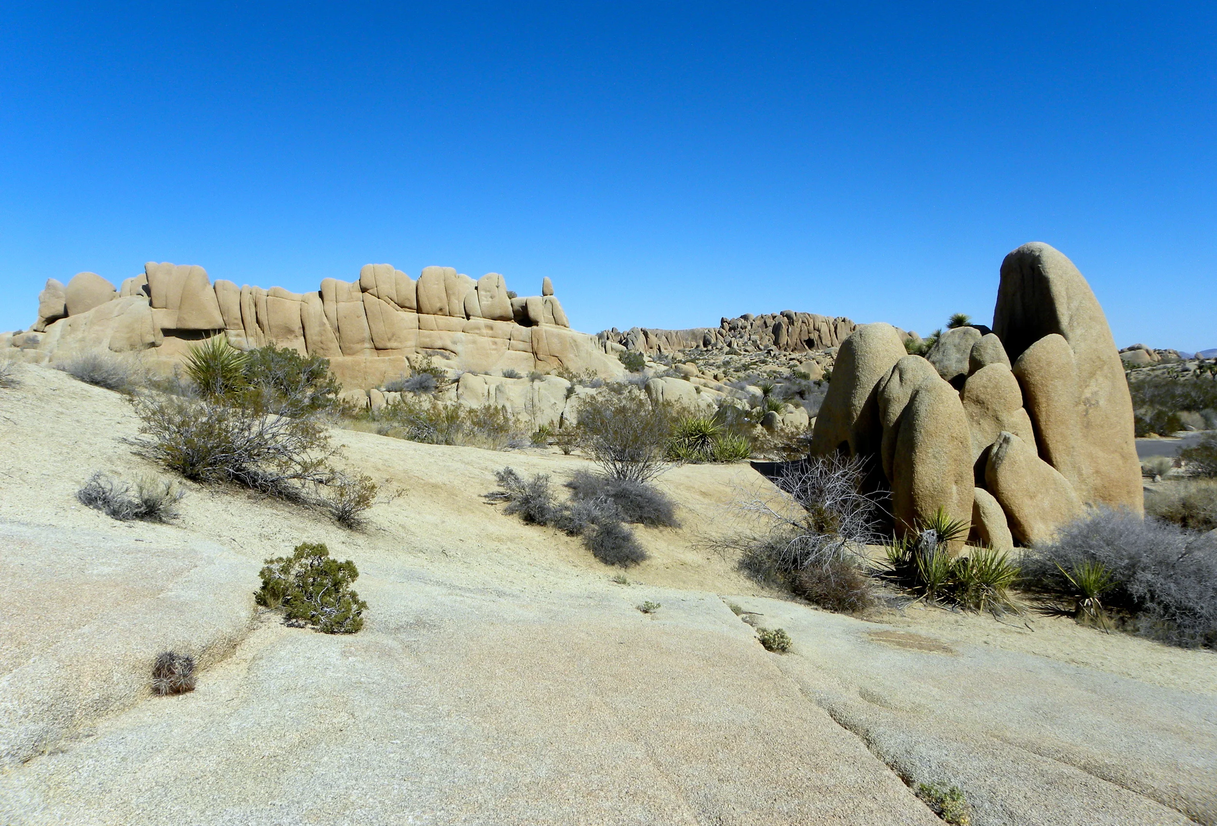 DSCN2032XXSMx 10.JPG