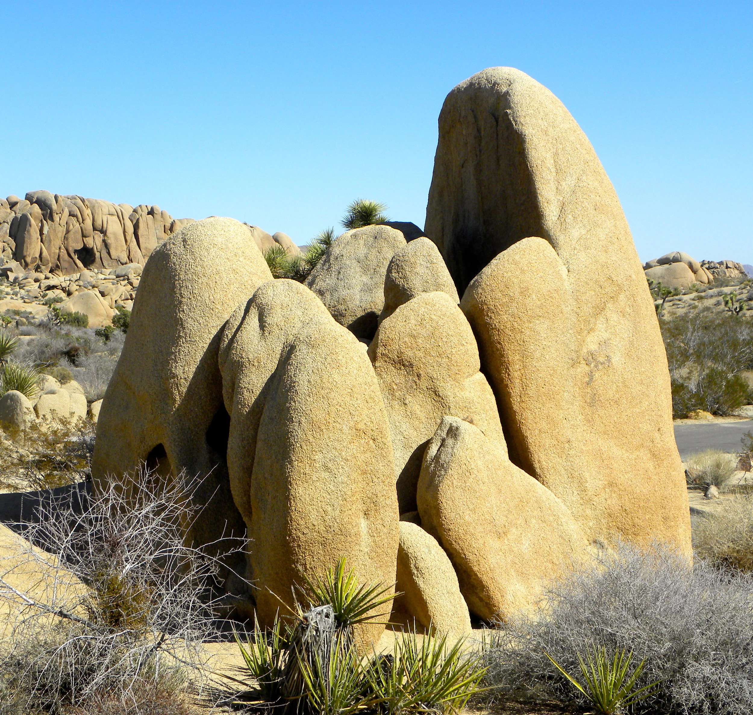 DSCN2032XXSMx 12.JPG