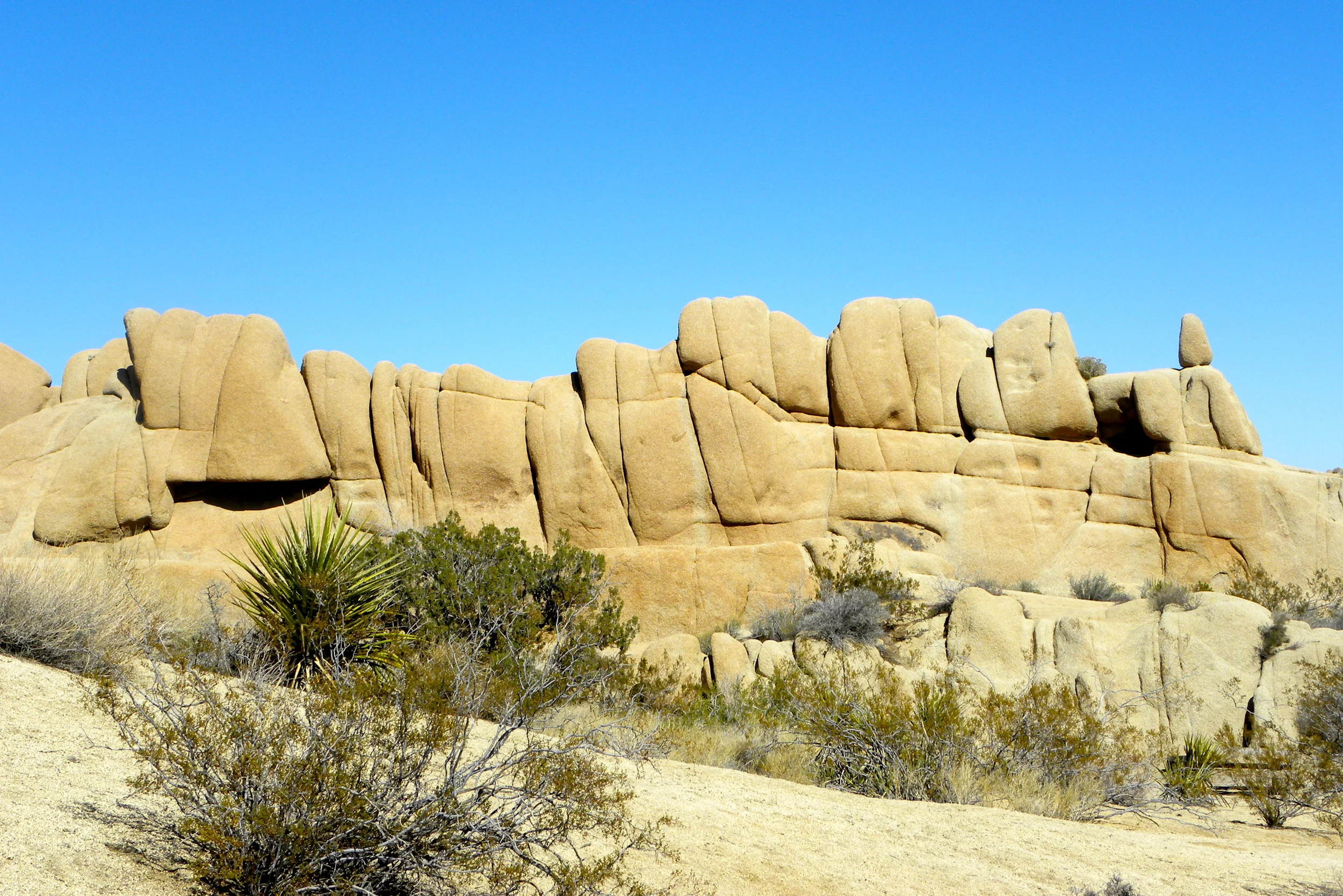 DSCN2032XXSMx 11.JPG