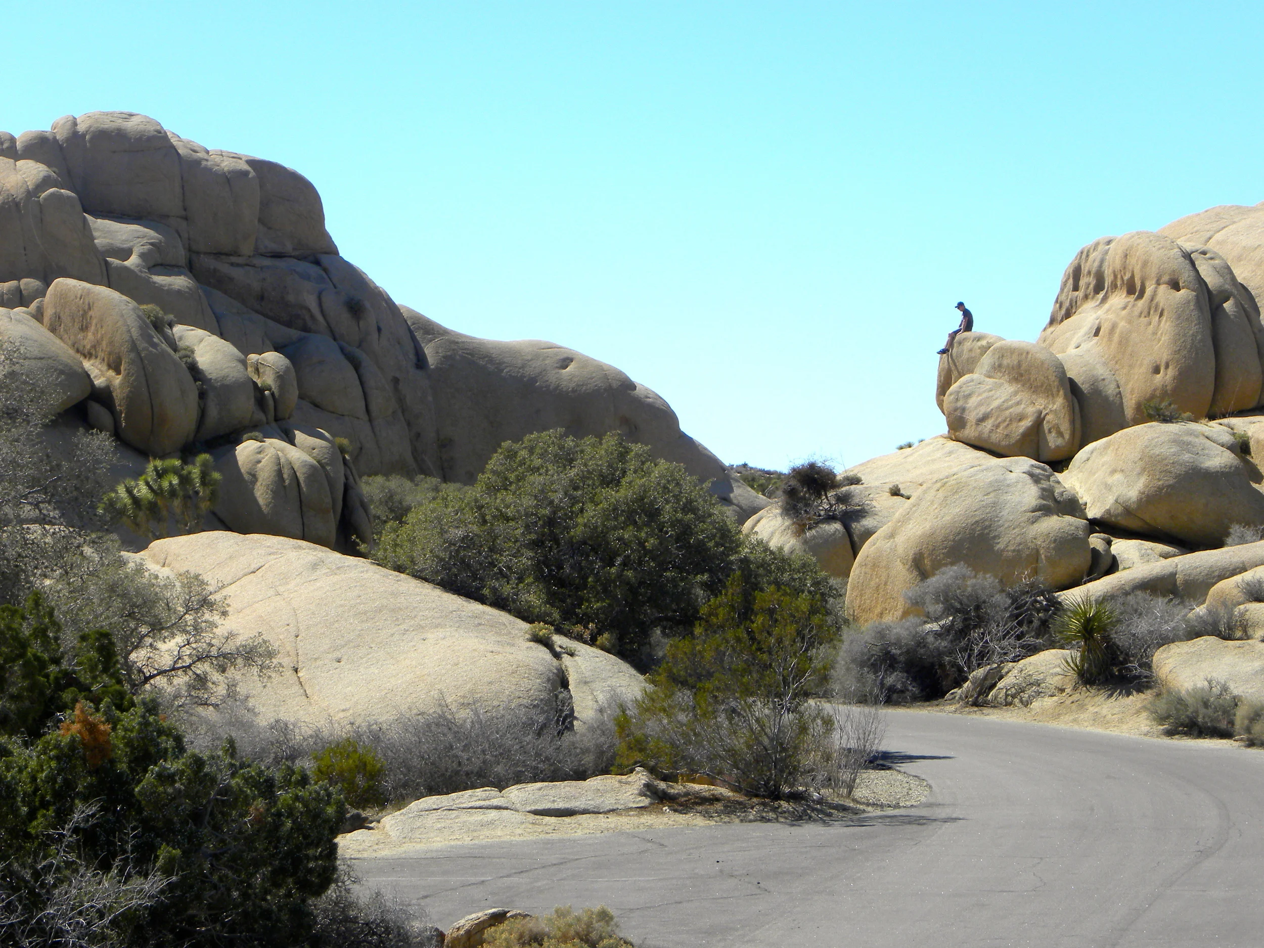 DSCN2032XXSMx 13.JPG