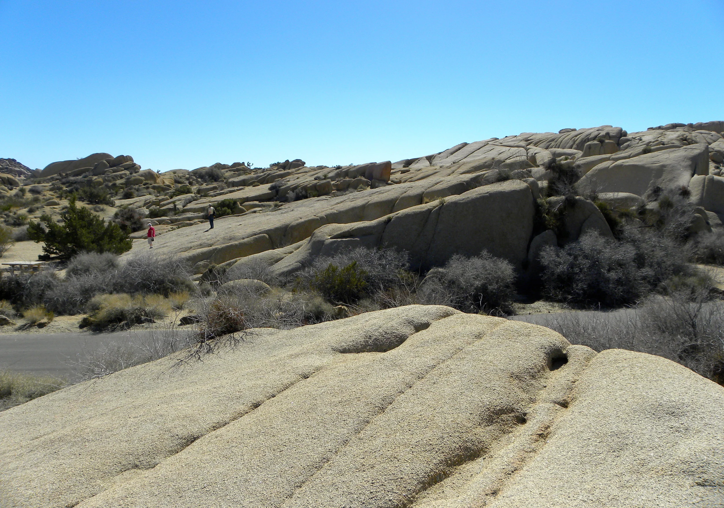 DSCN2032XXSMx 14.JPG