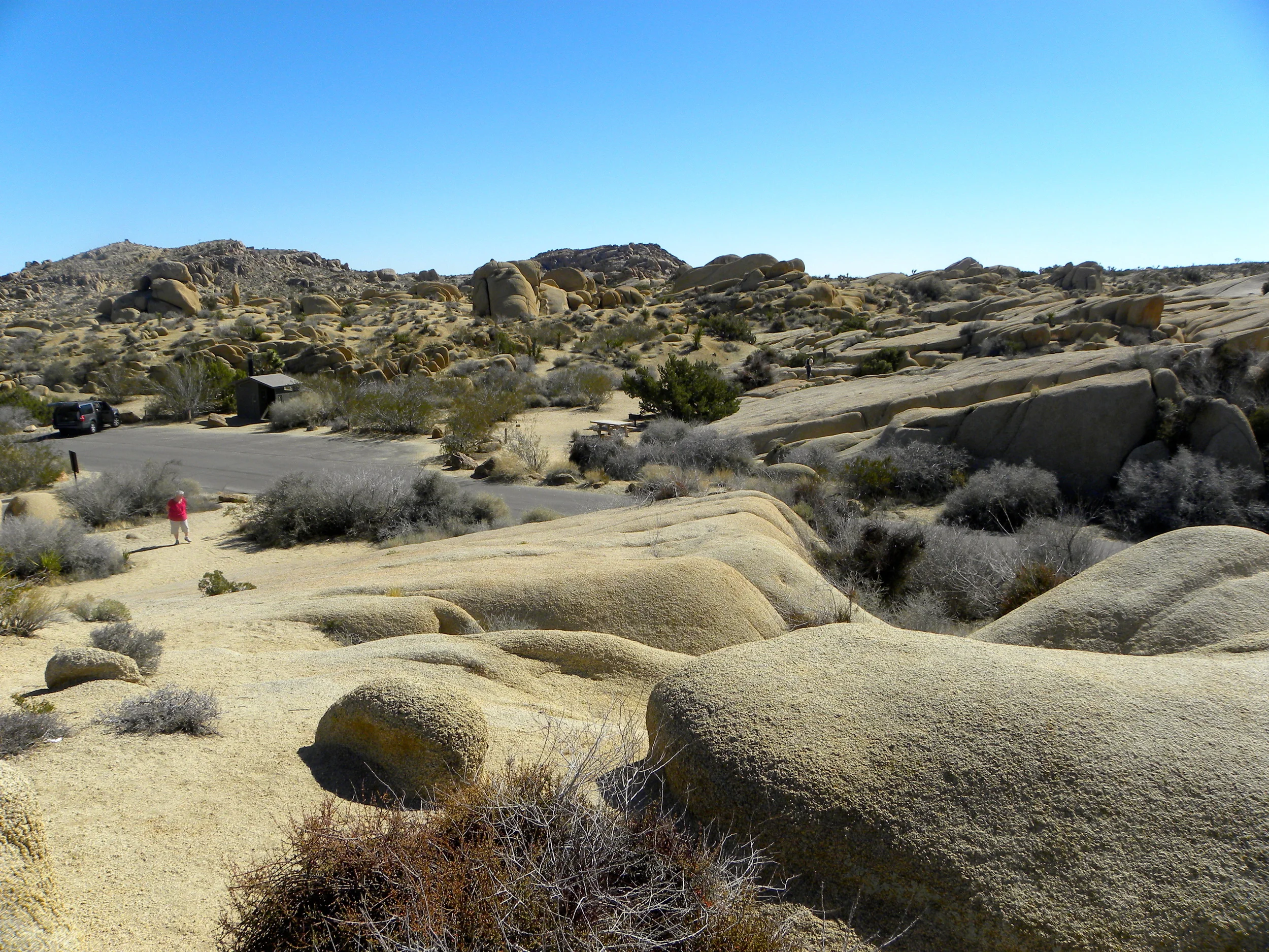 DSCN2032XXSMx 16.JPG