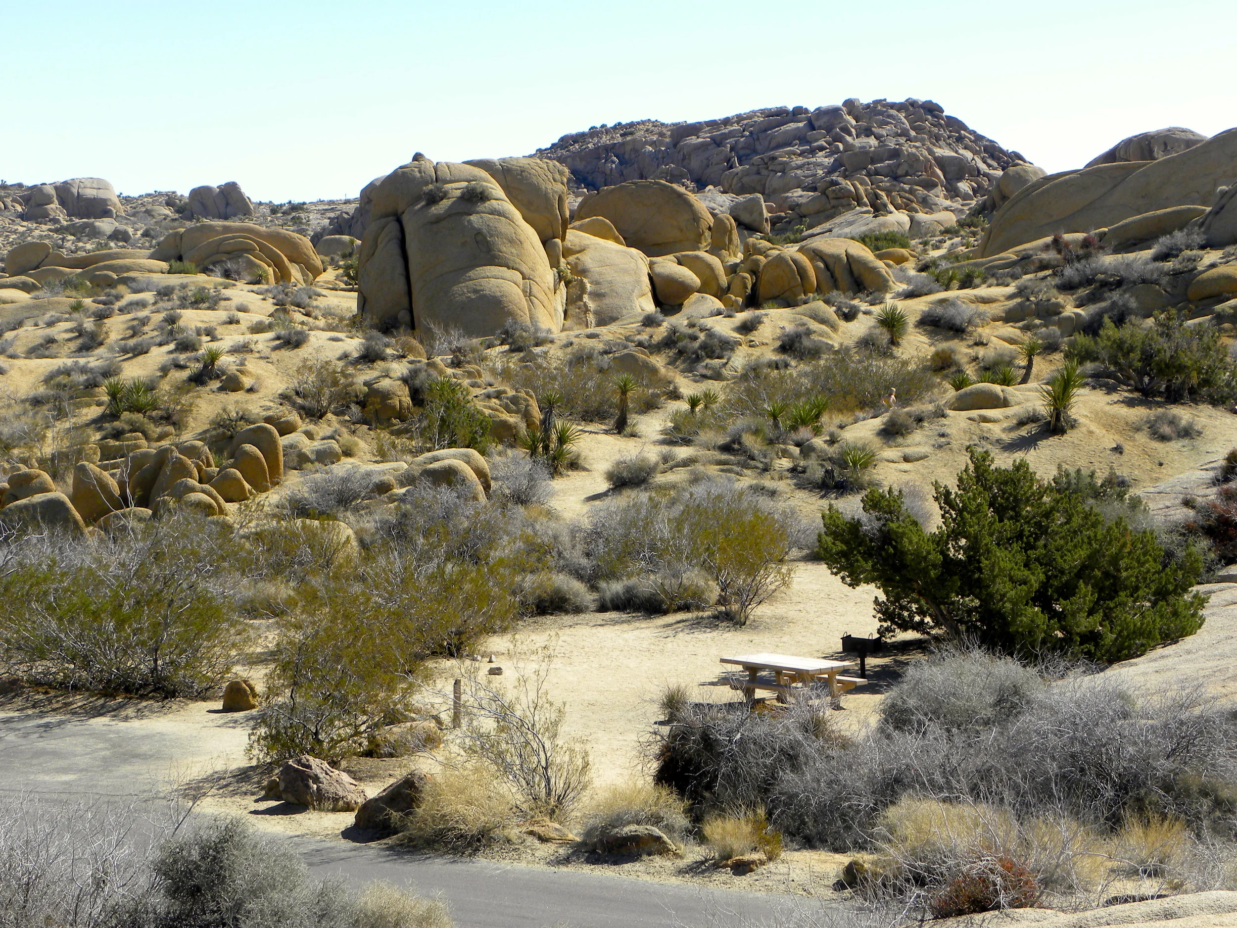 DSCN2032XXSMx 17.JPG