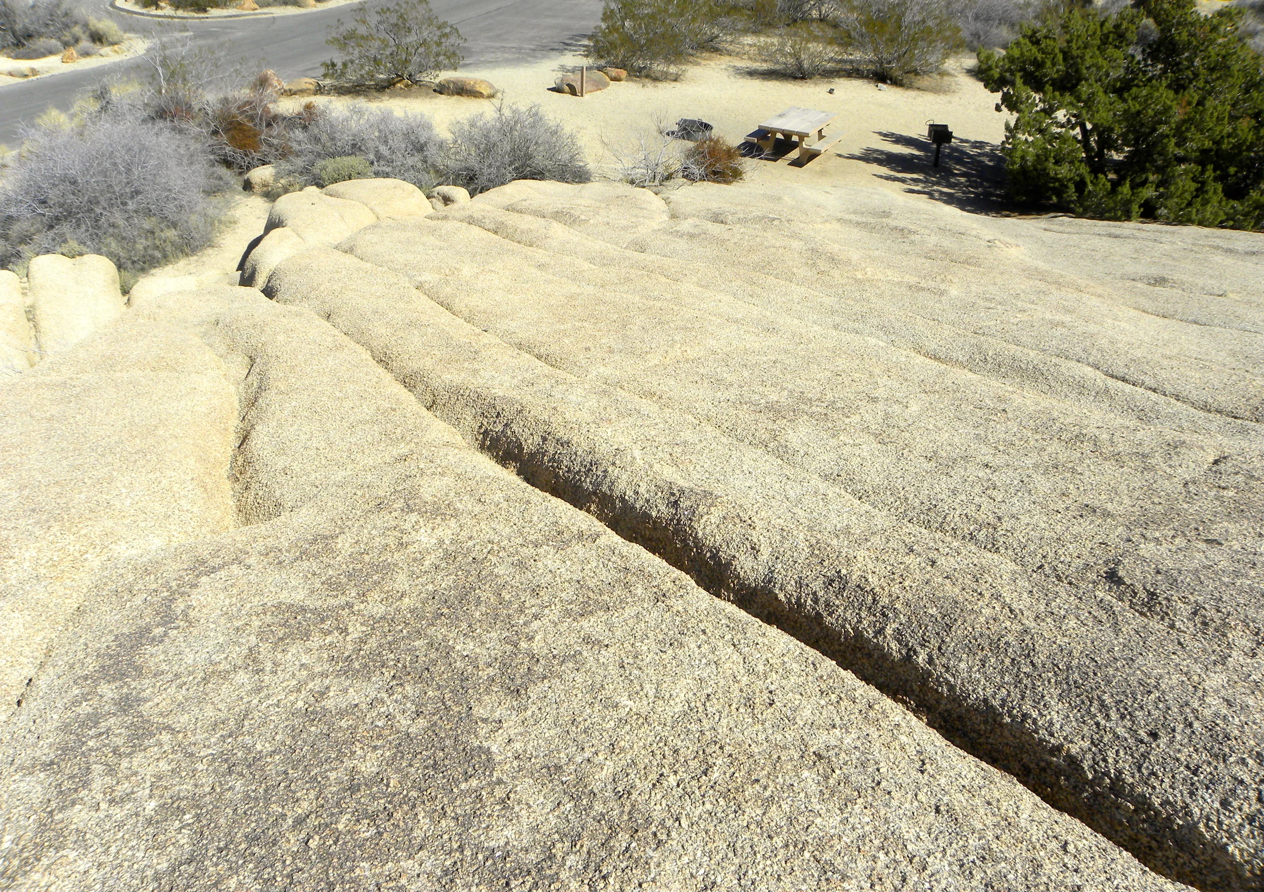 DSCN2032XXSMx 21.JPG